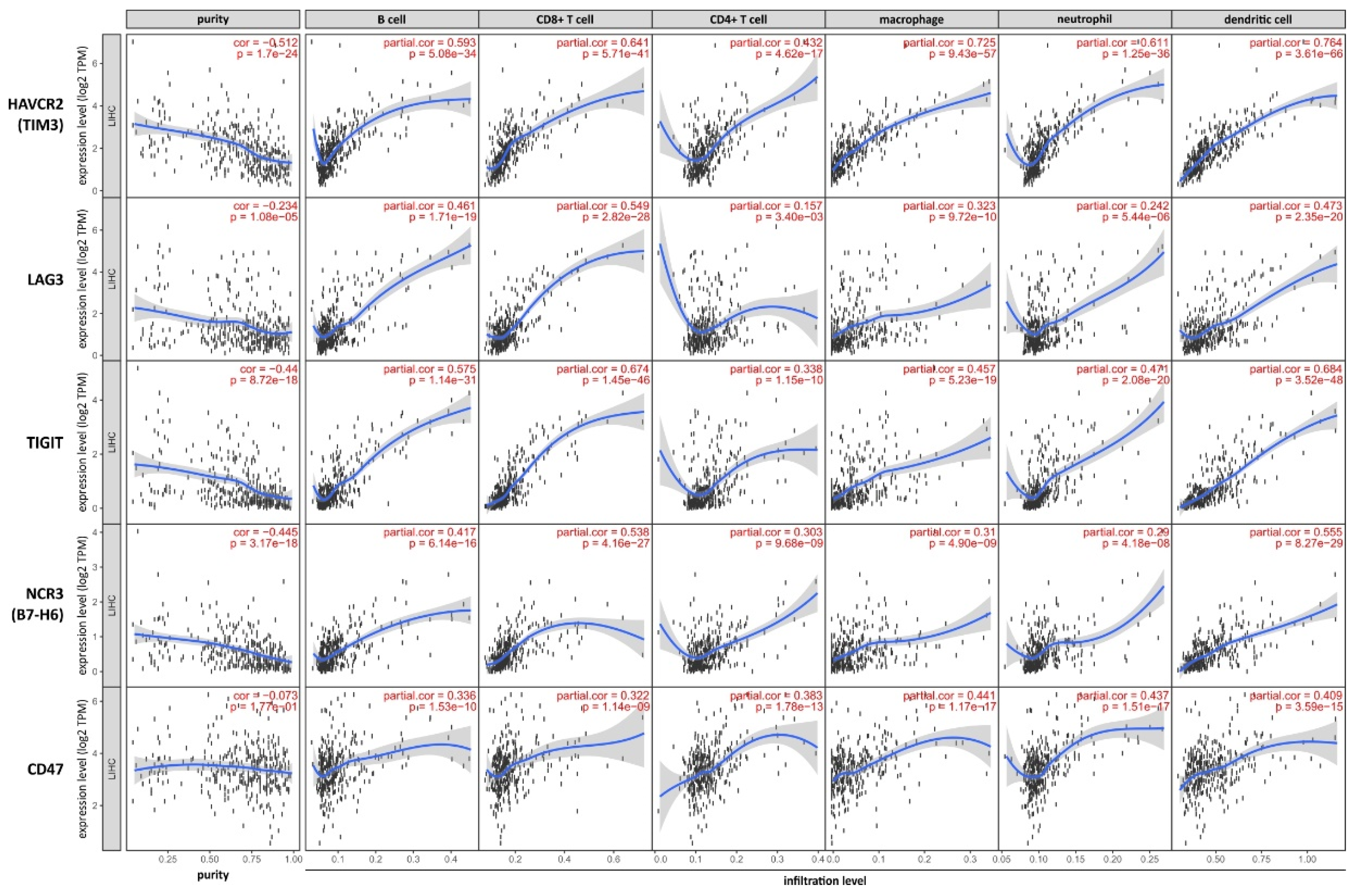 Cancers 13 01558 g004