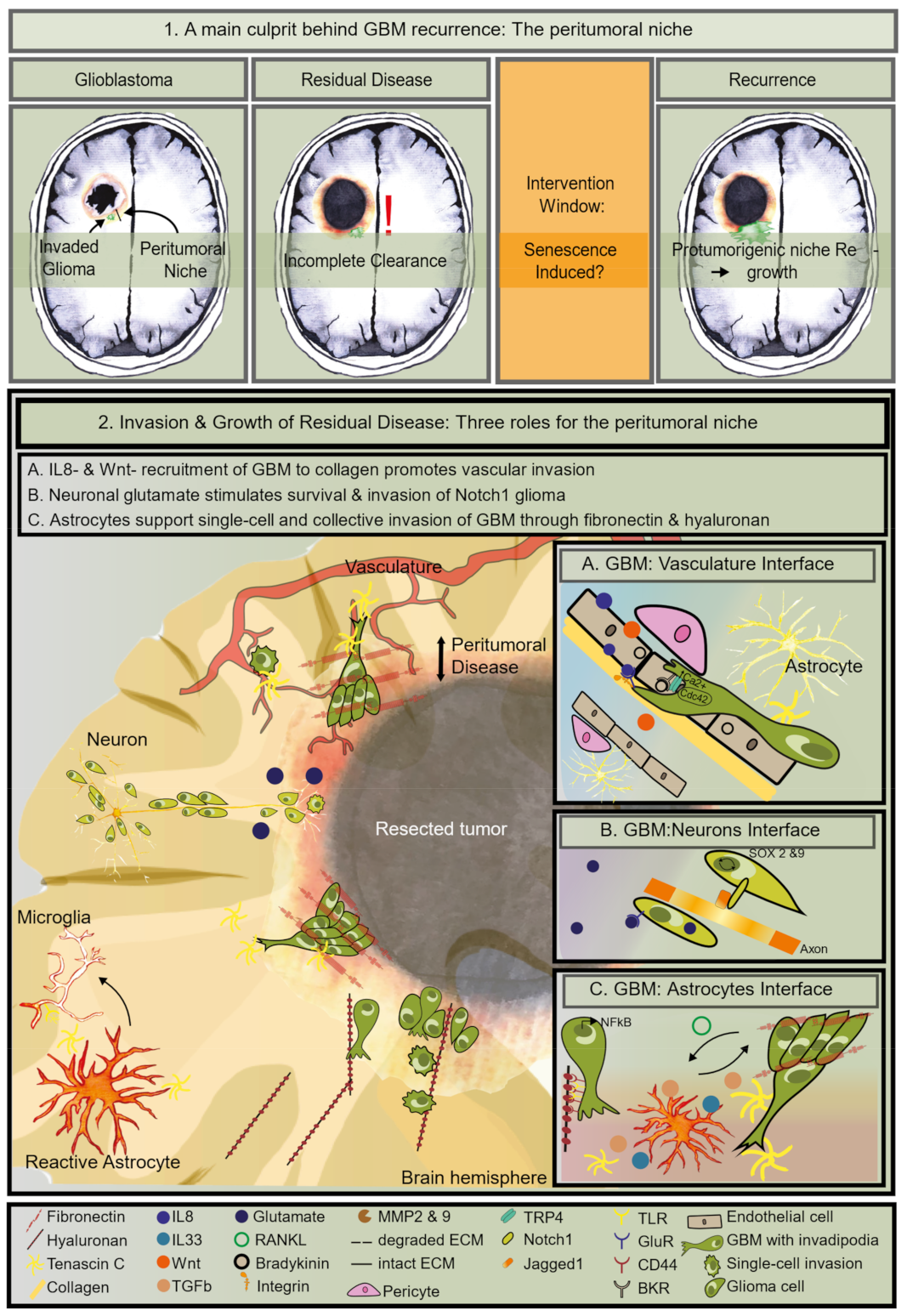 Cancers 13 01560 g001
