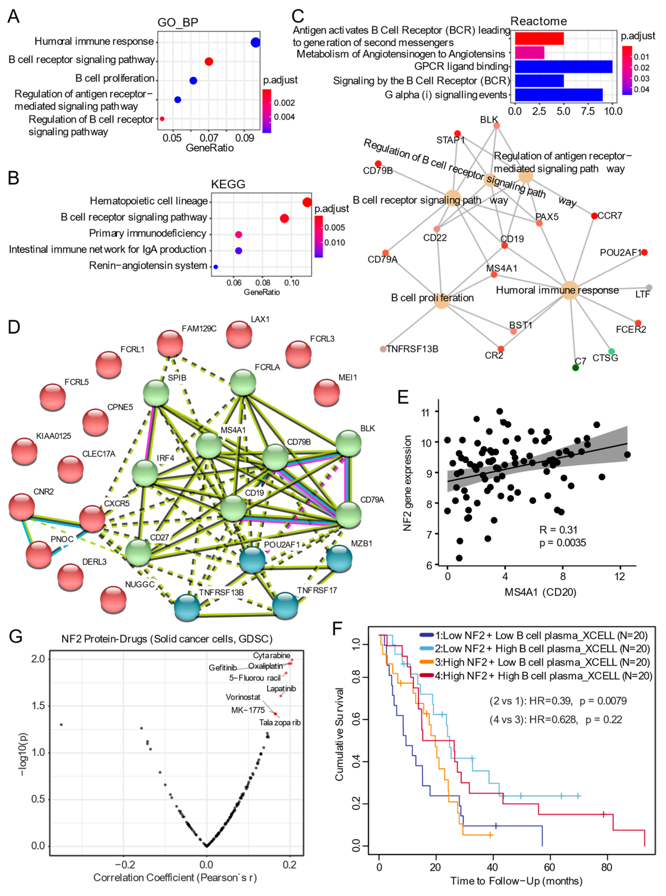 Cancers 13 01561 g002