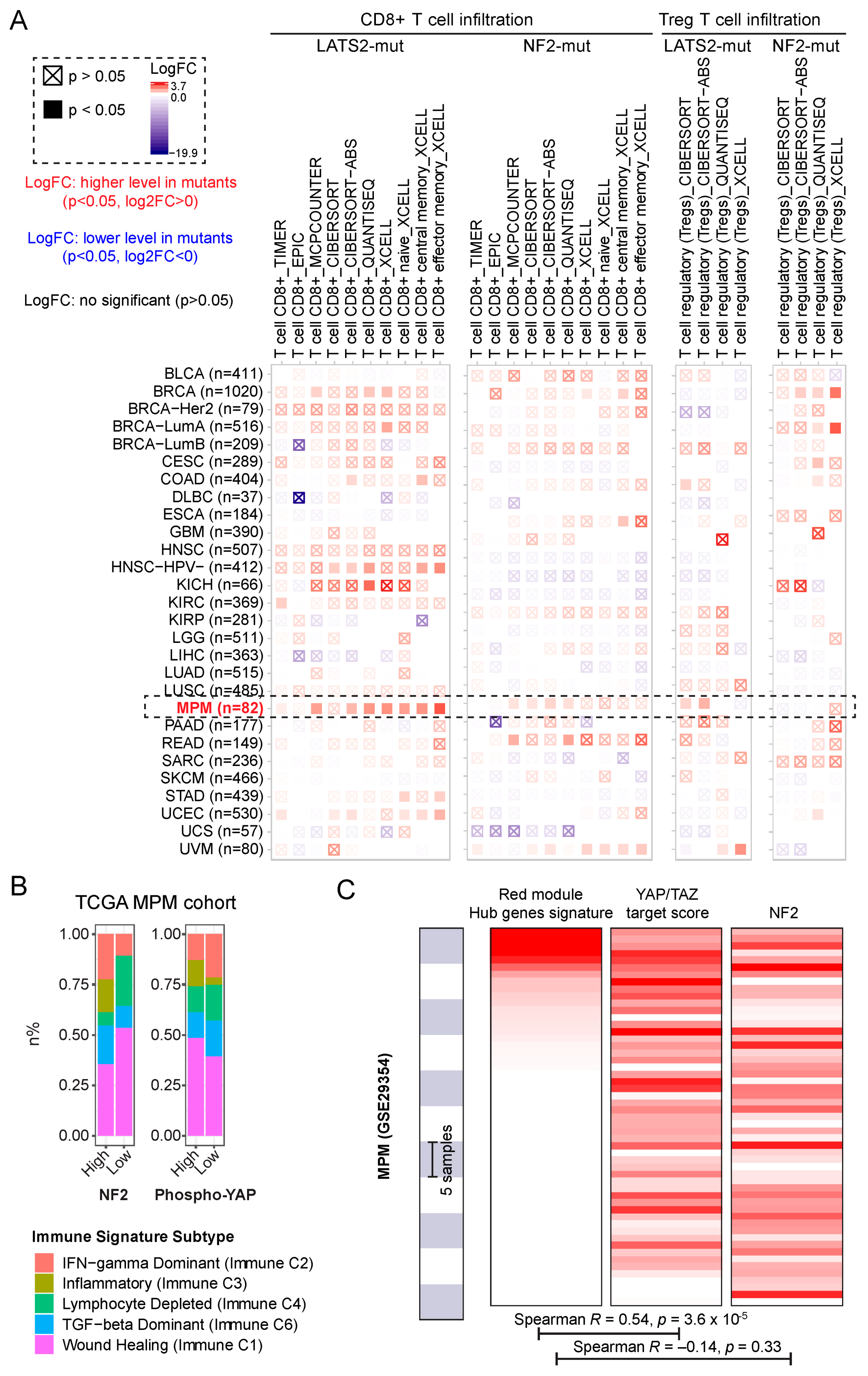 Cancers 13 01561 g004