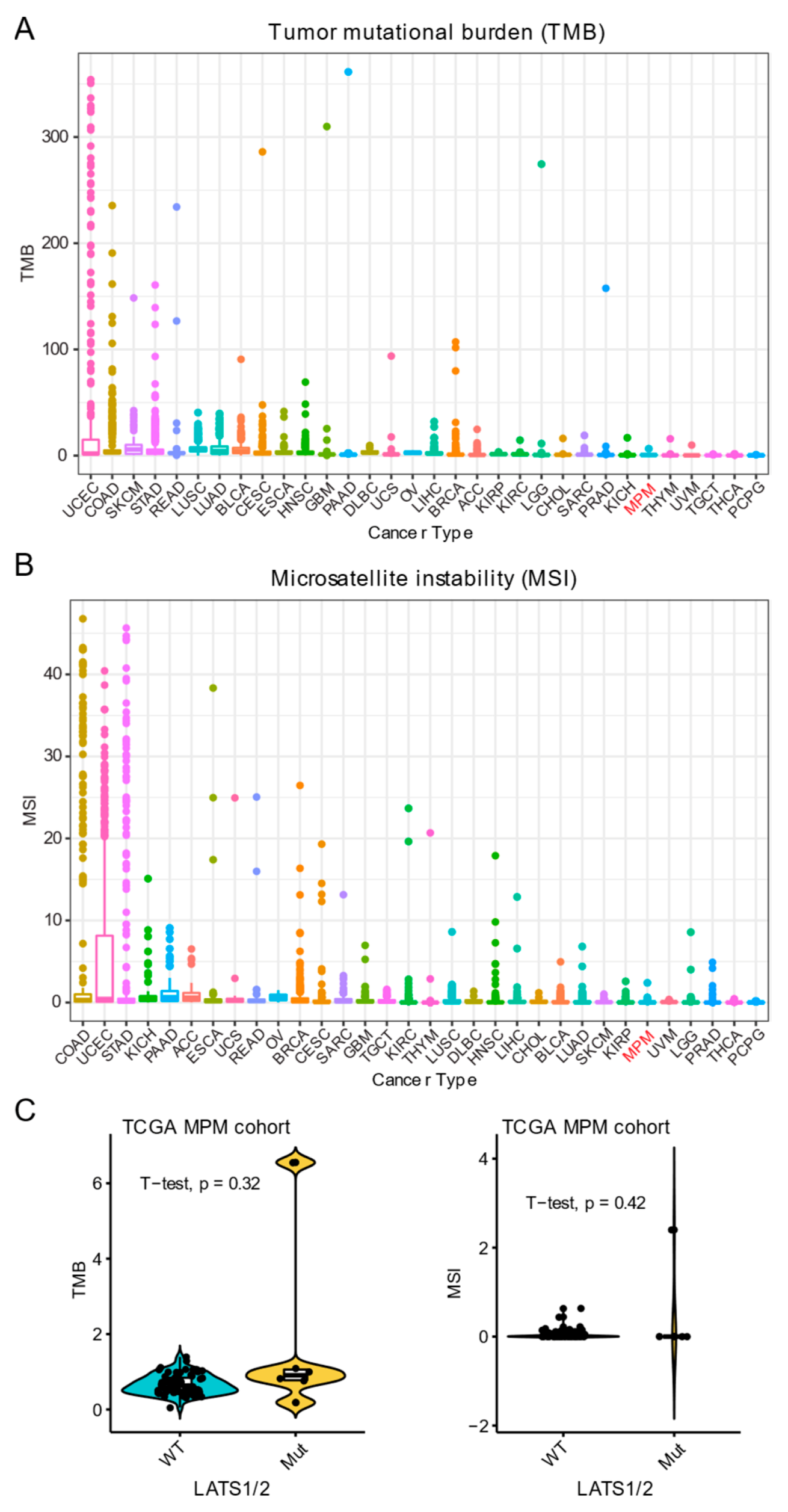 Cancers 13 01561 g005