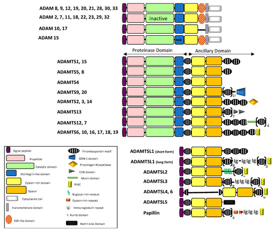 Cancers 13 01563 g001