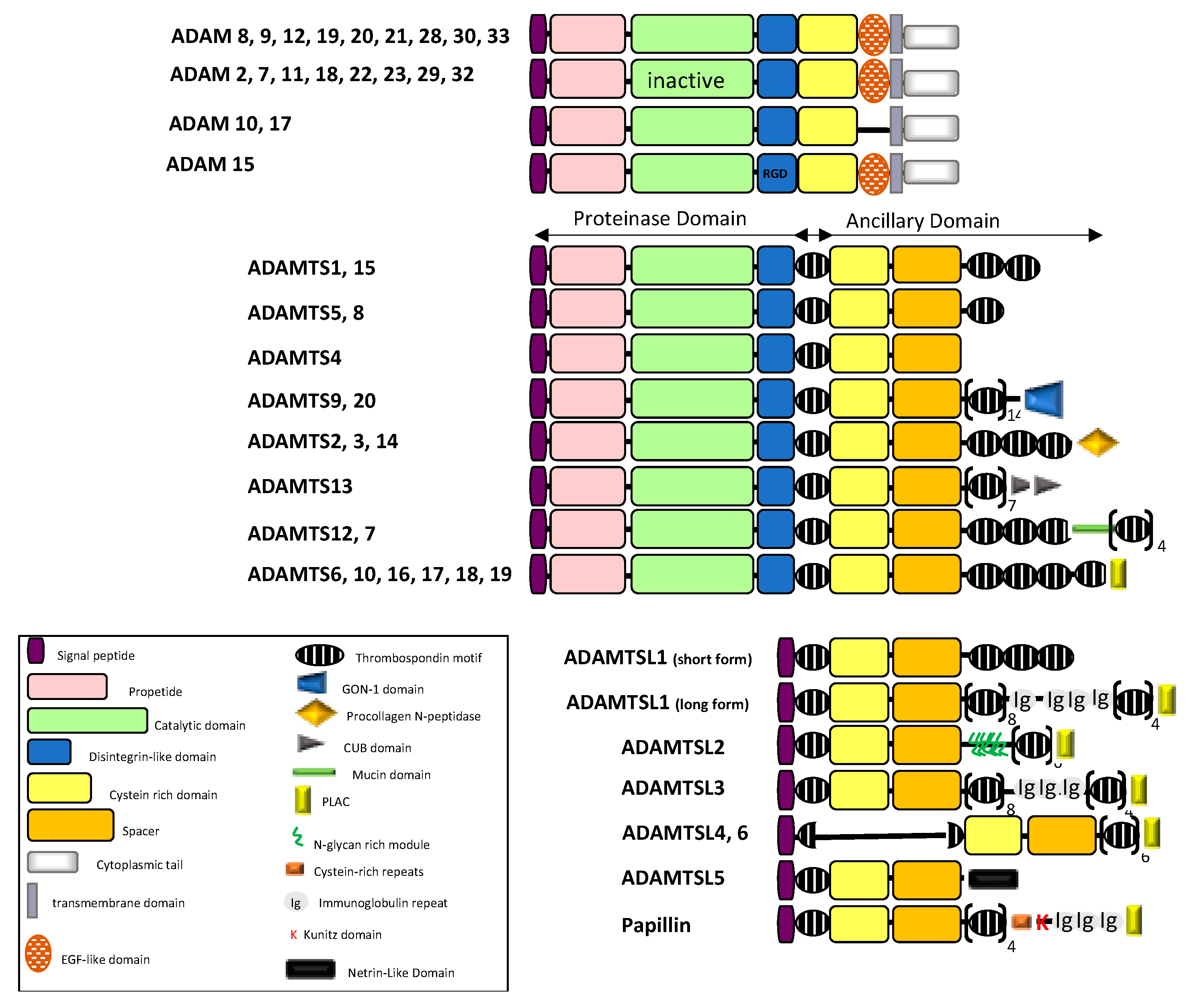 Cancers 13 01563 g001