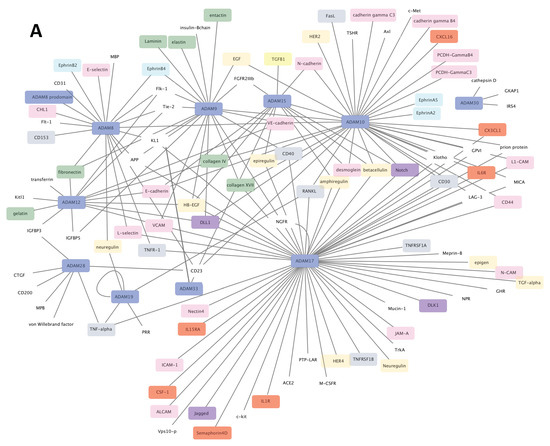 Cancers 13 01563 g002a Cancers 13 01563 g002a