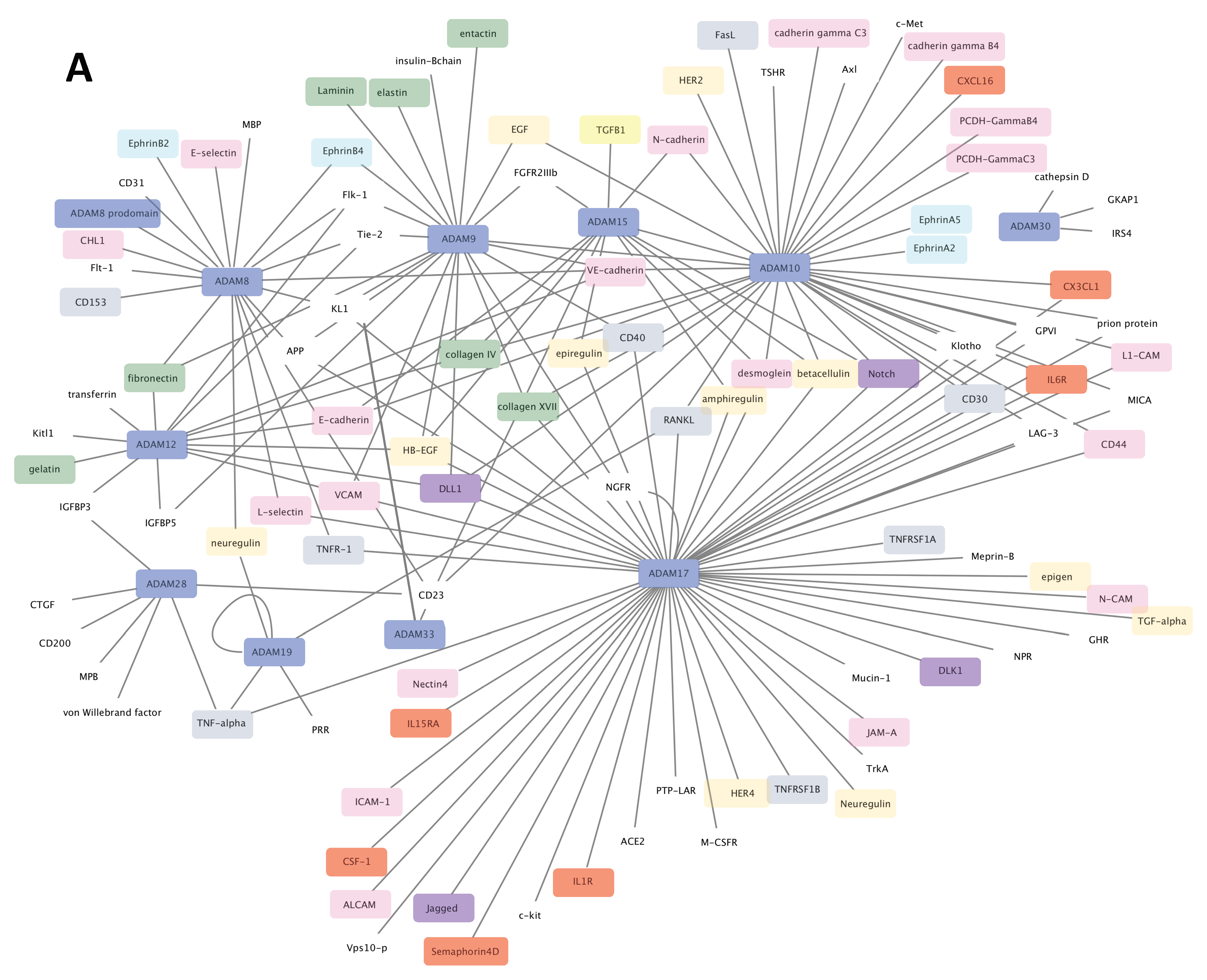 Cancers 13 01563 g002a