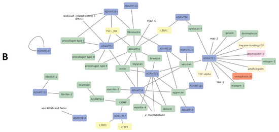 Cancers 13 01563 g002b