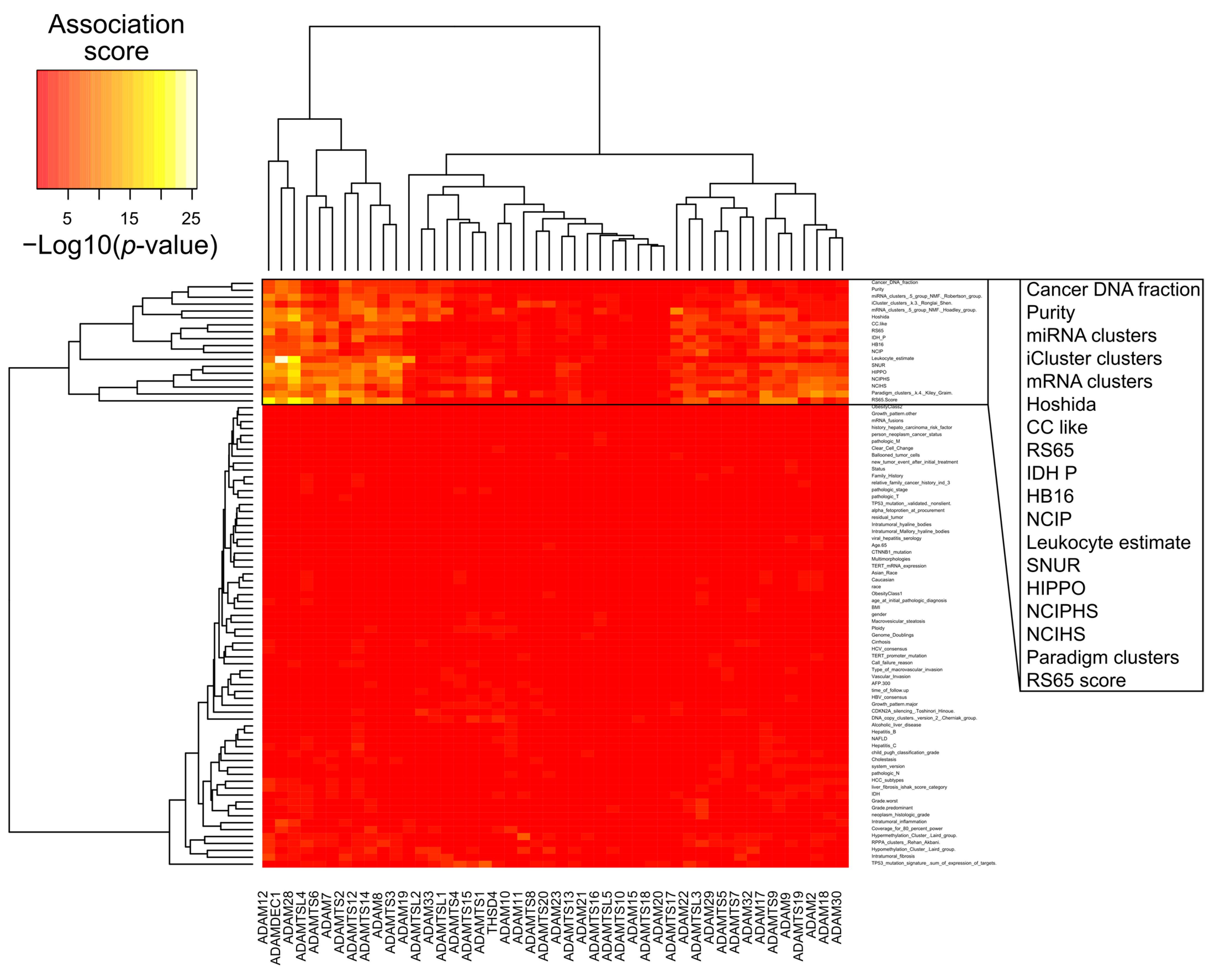 Cancers 13 01563 g003