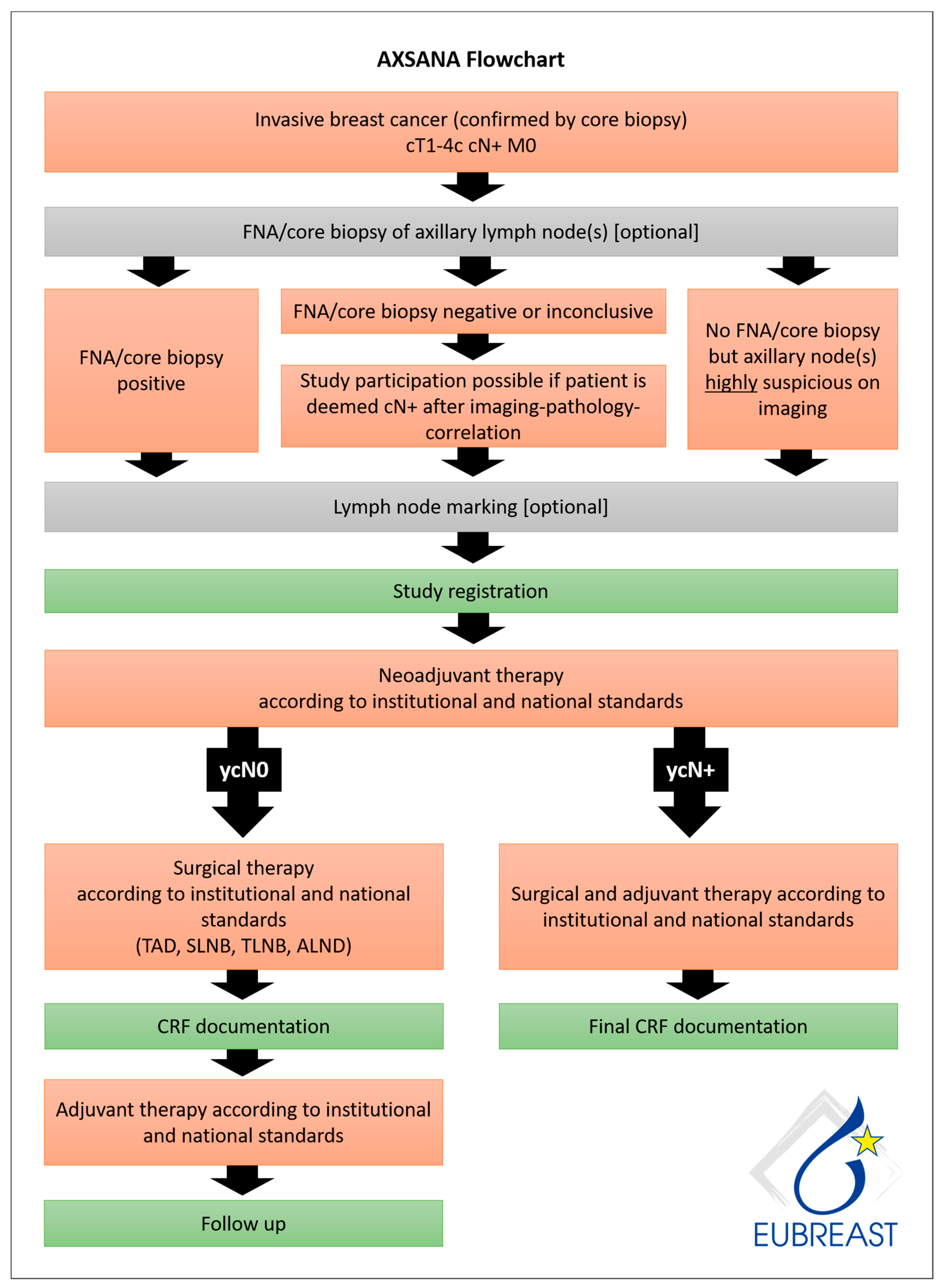 Cancers 13 01565 g001 Cancers 13 01565 g001