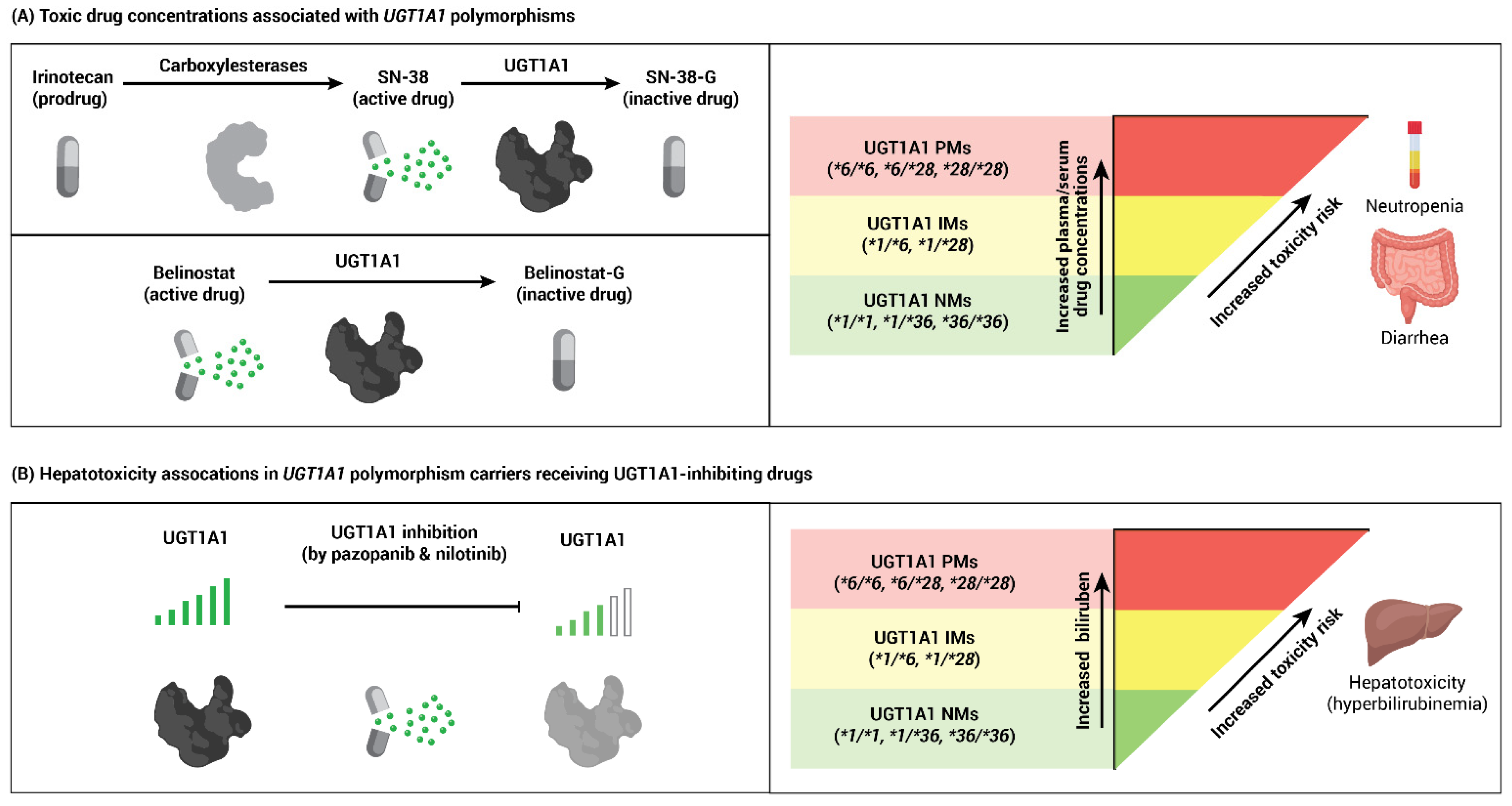 Cancers 13 01566 g001