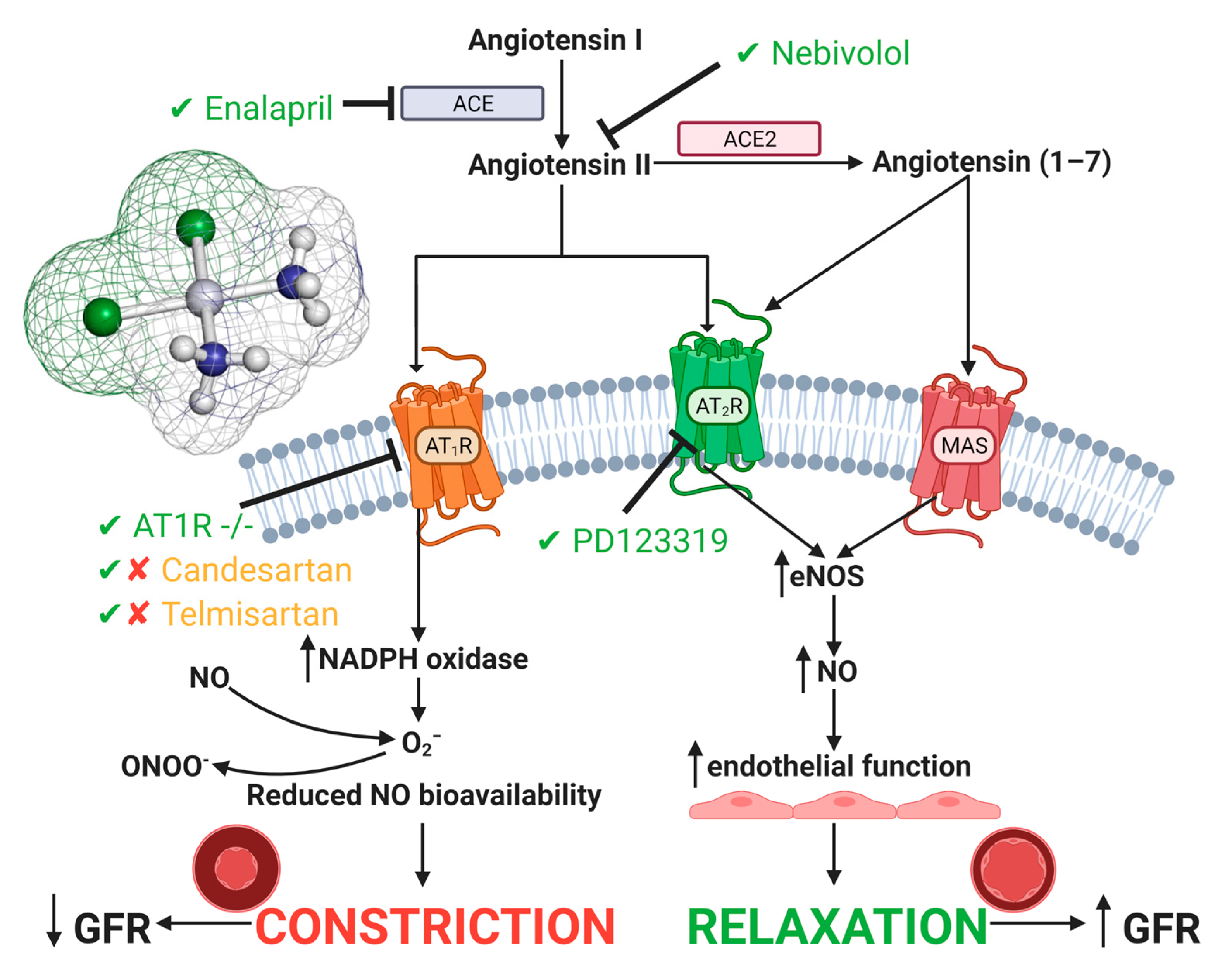 Cancers 13 01572 g003
