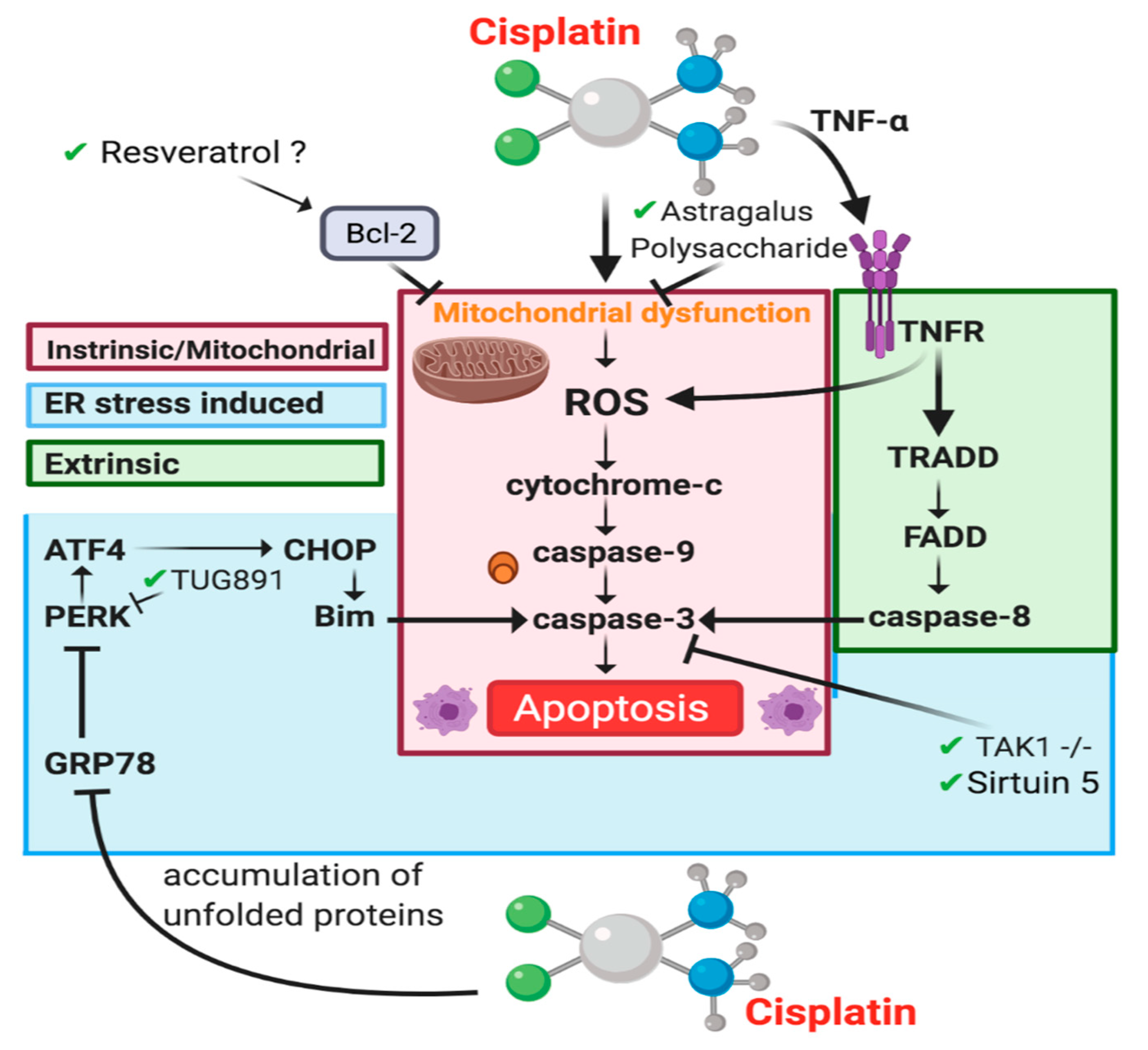 Cancers 13 01572 g004