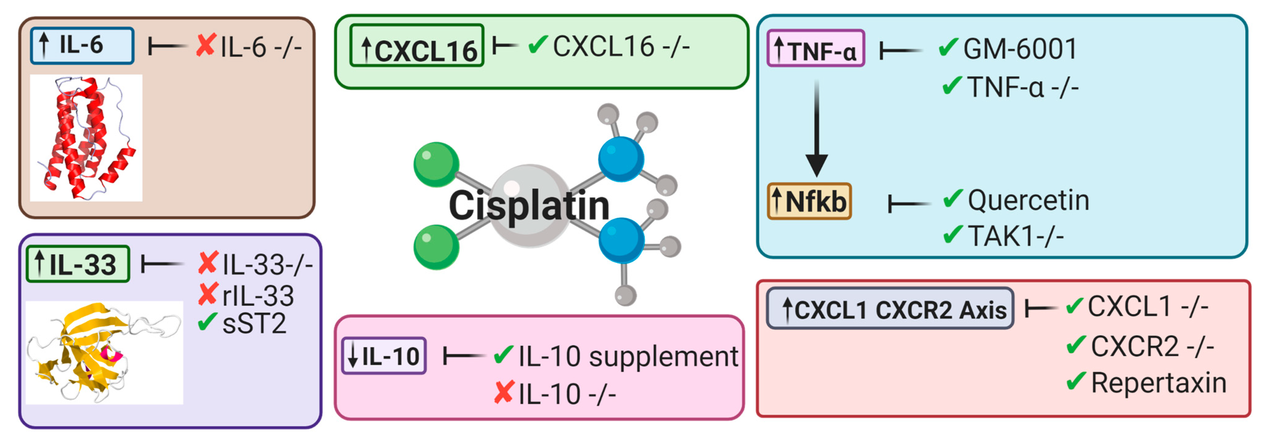 Cancers 13 01572 g005