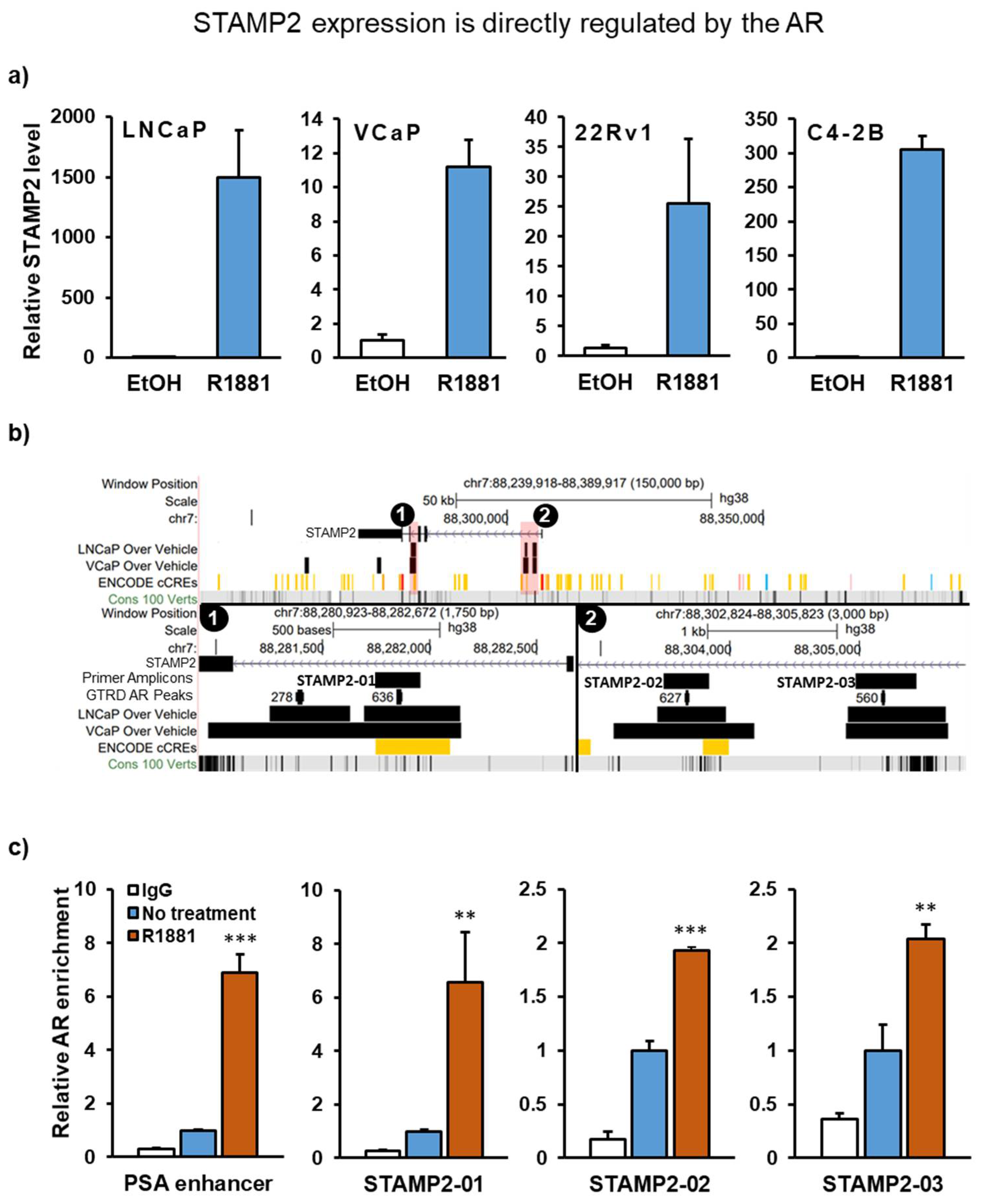 Cancers 13 01579 g001
