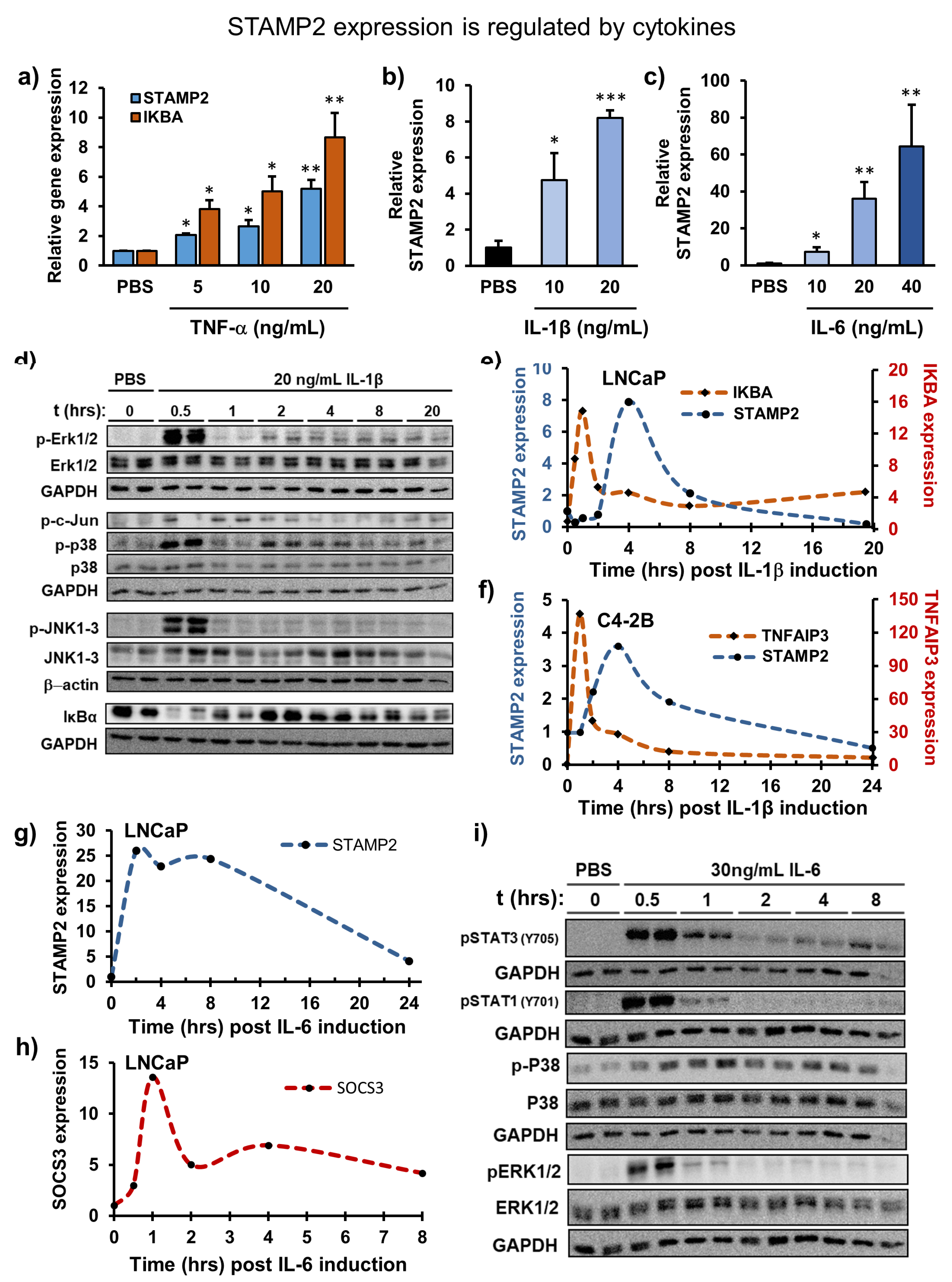 Cancers 13 01579 g002
