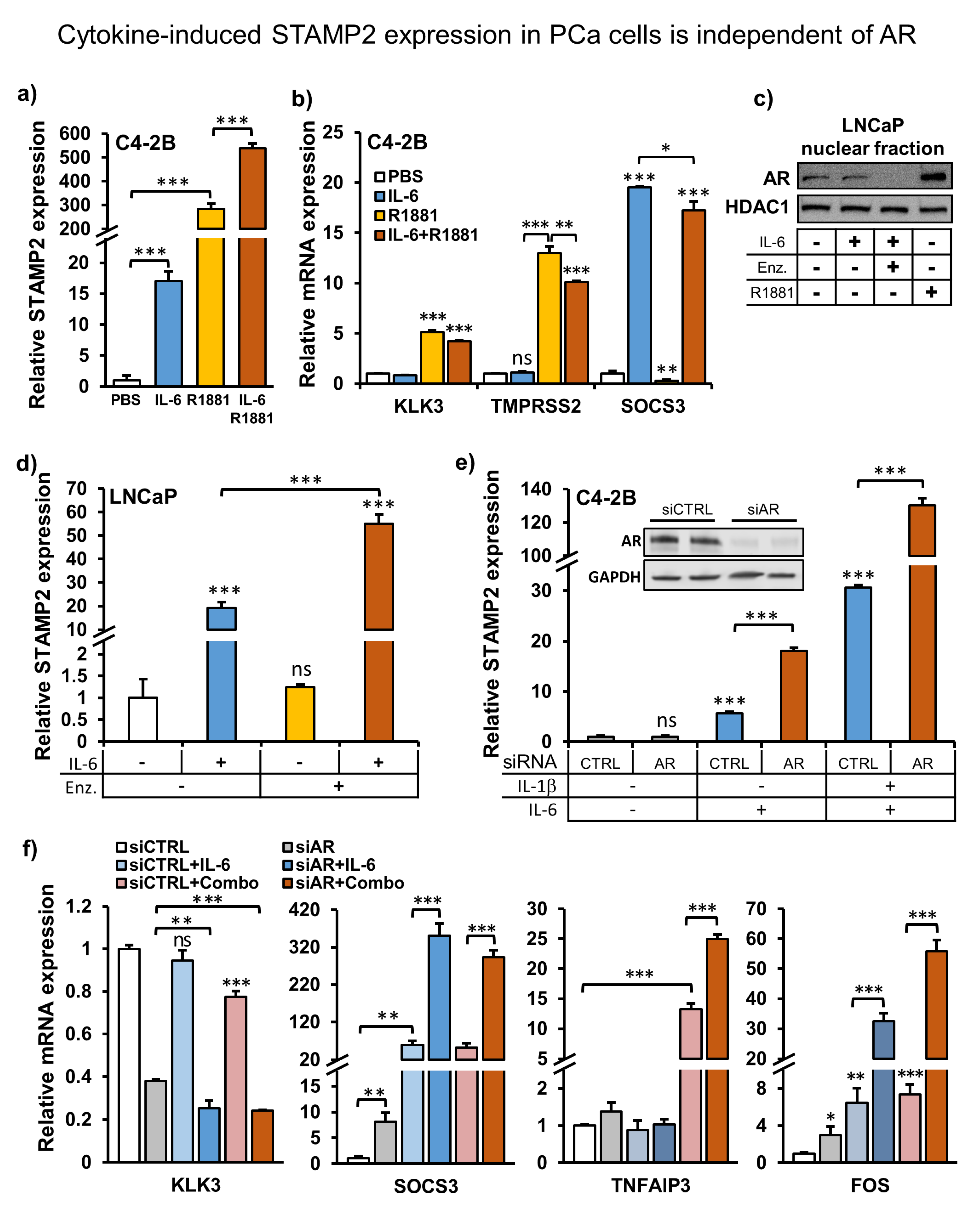 Cancers 13 01579 g003