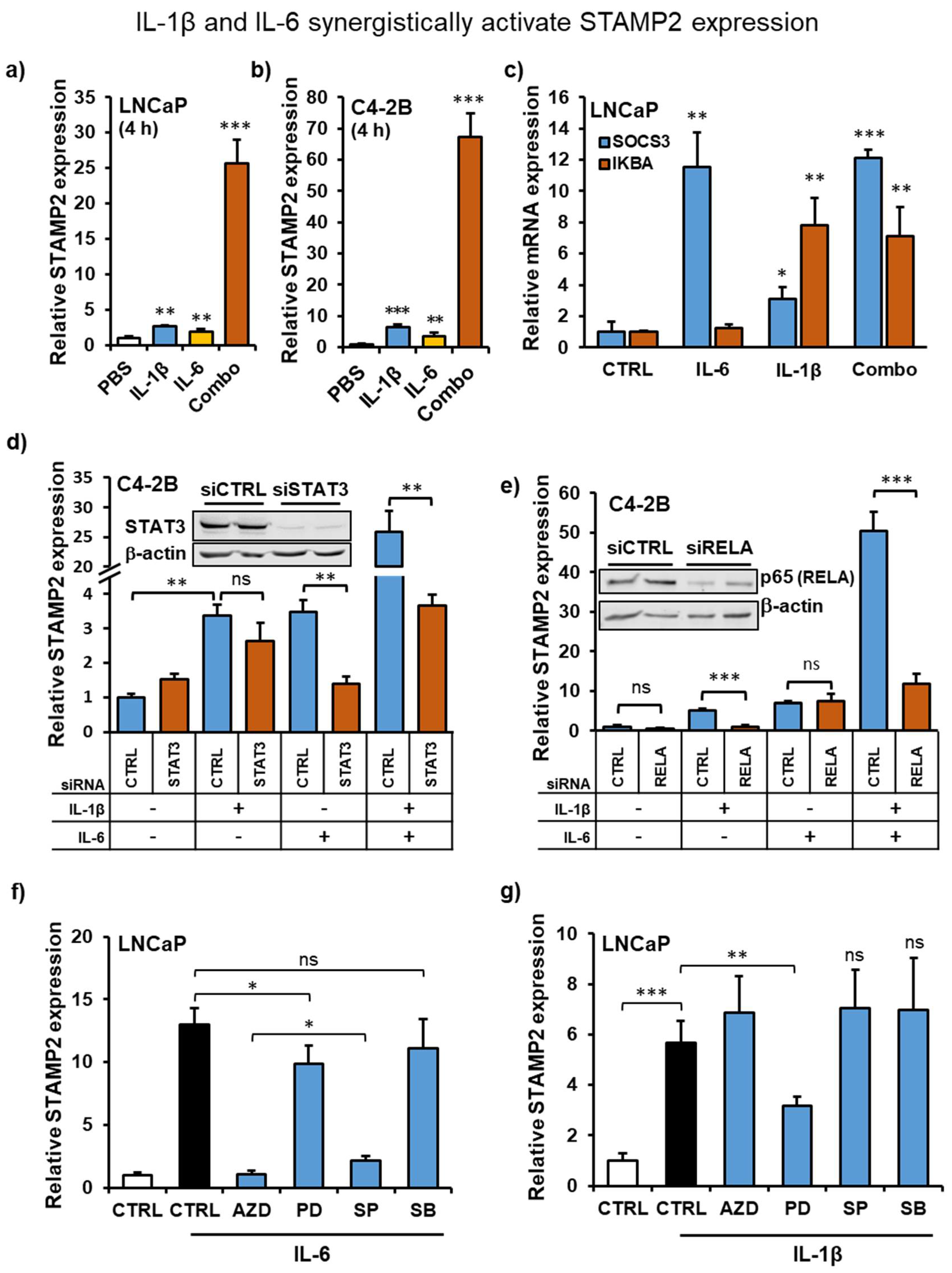 Cancers 13 01579 g004