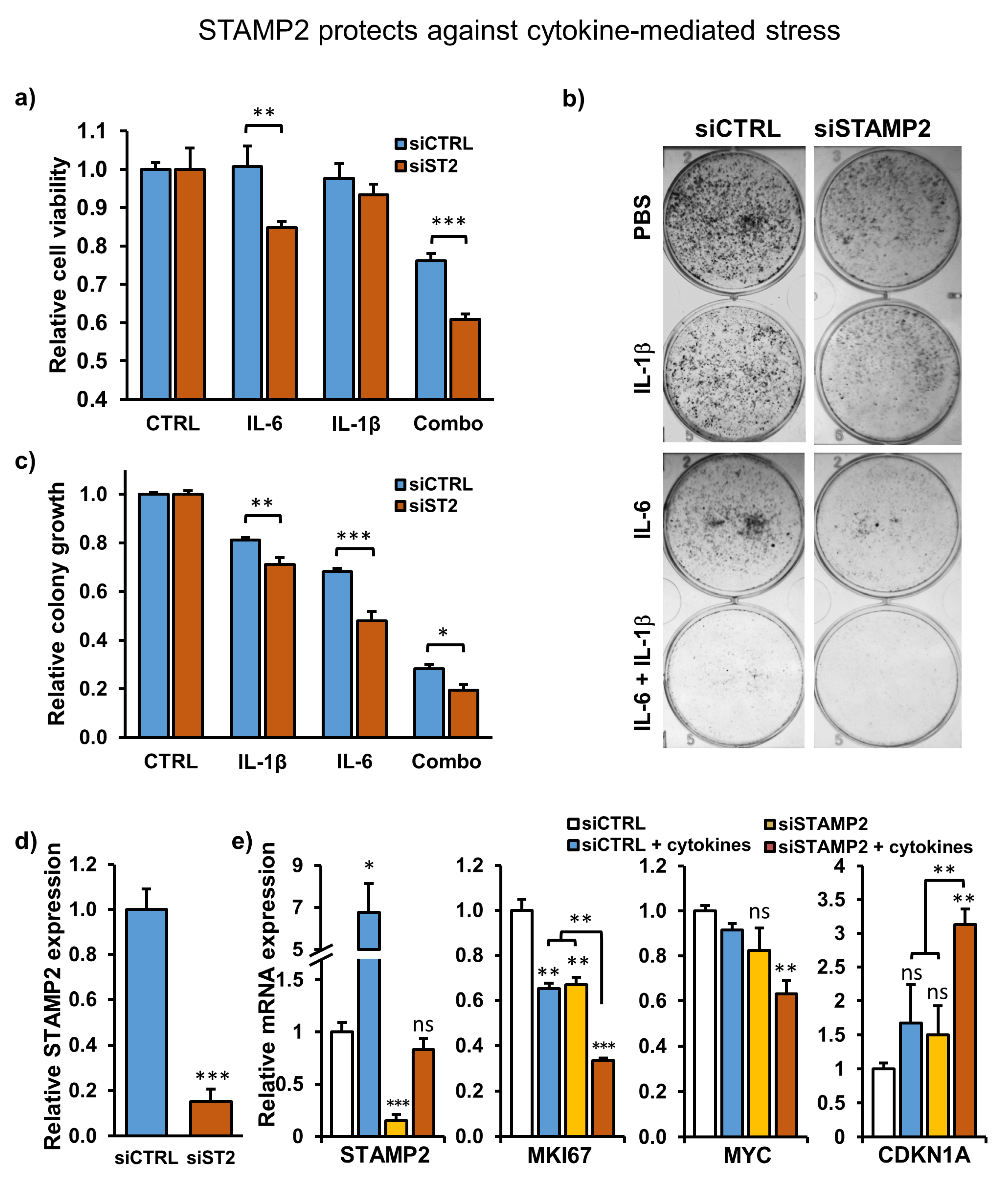 Cancers 13 01579 g005