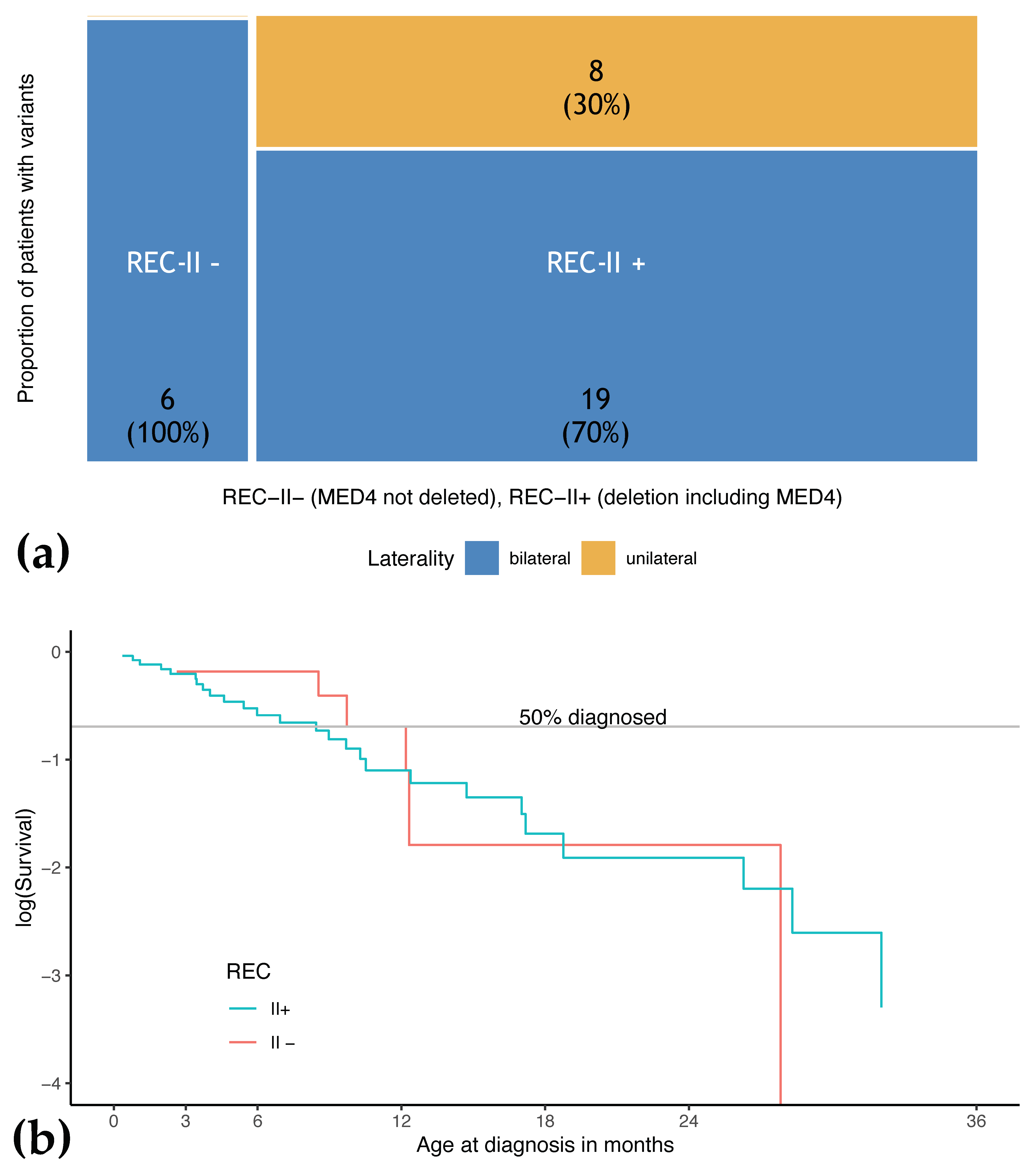 Cancers 13 01605 g004