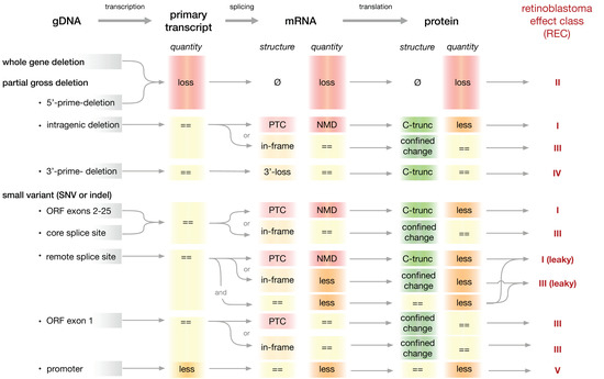 Cancers 13 01605 g0a2