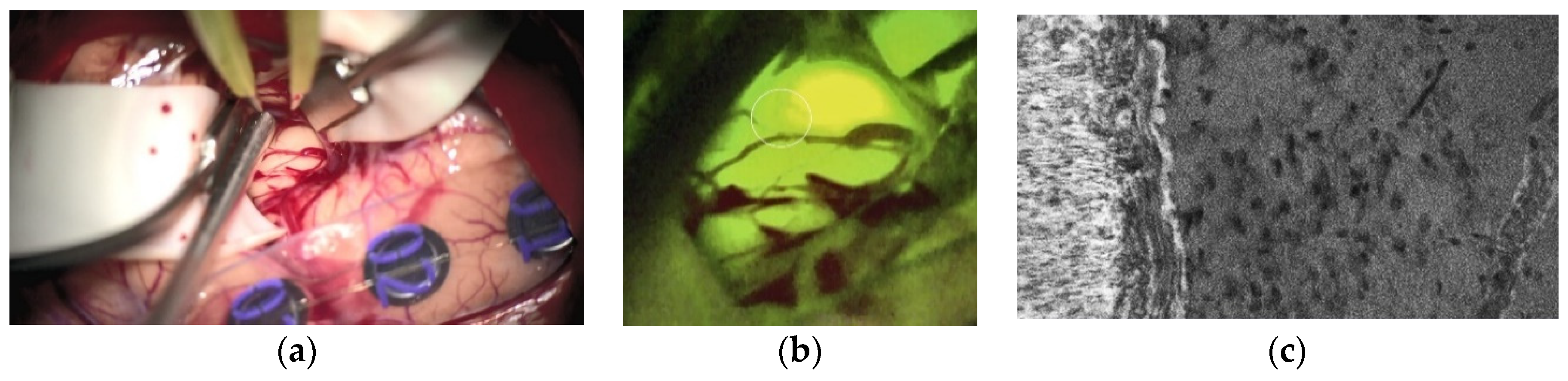 Cancers 13 01616 g003