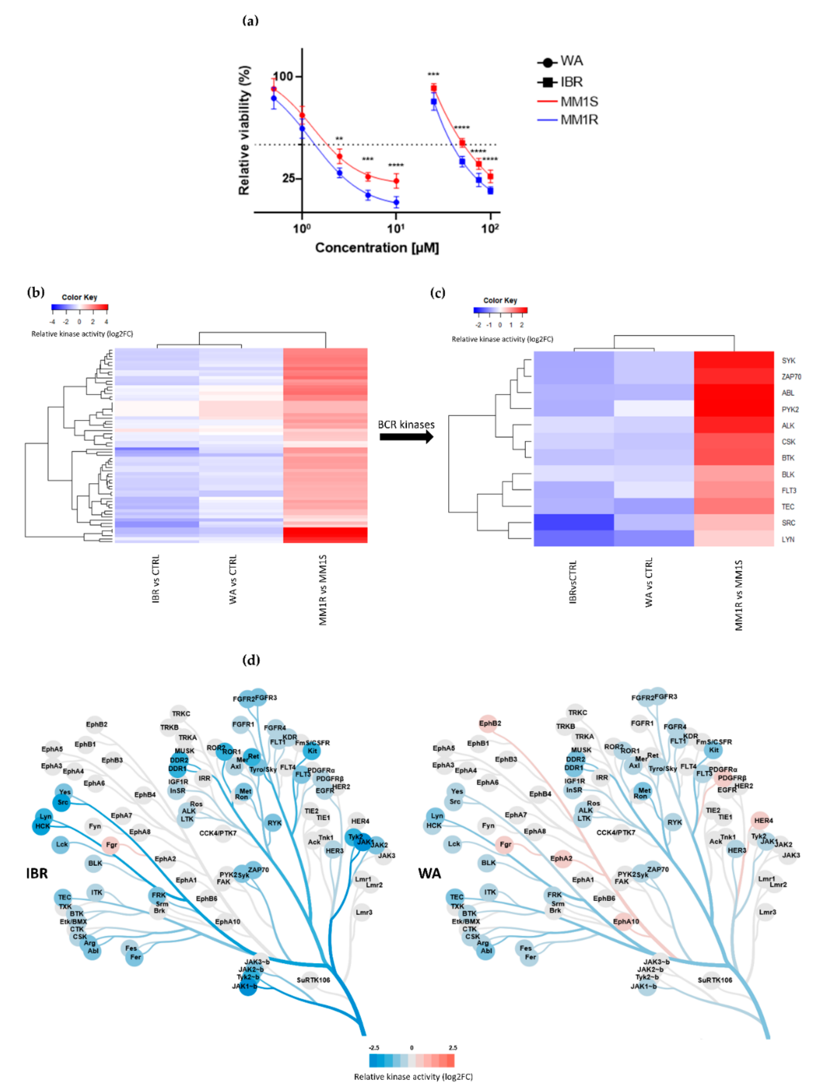 Cancers 13 01618 g002