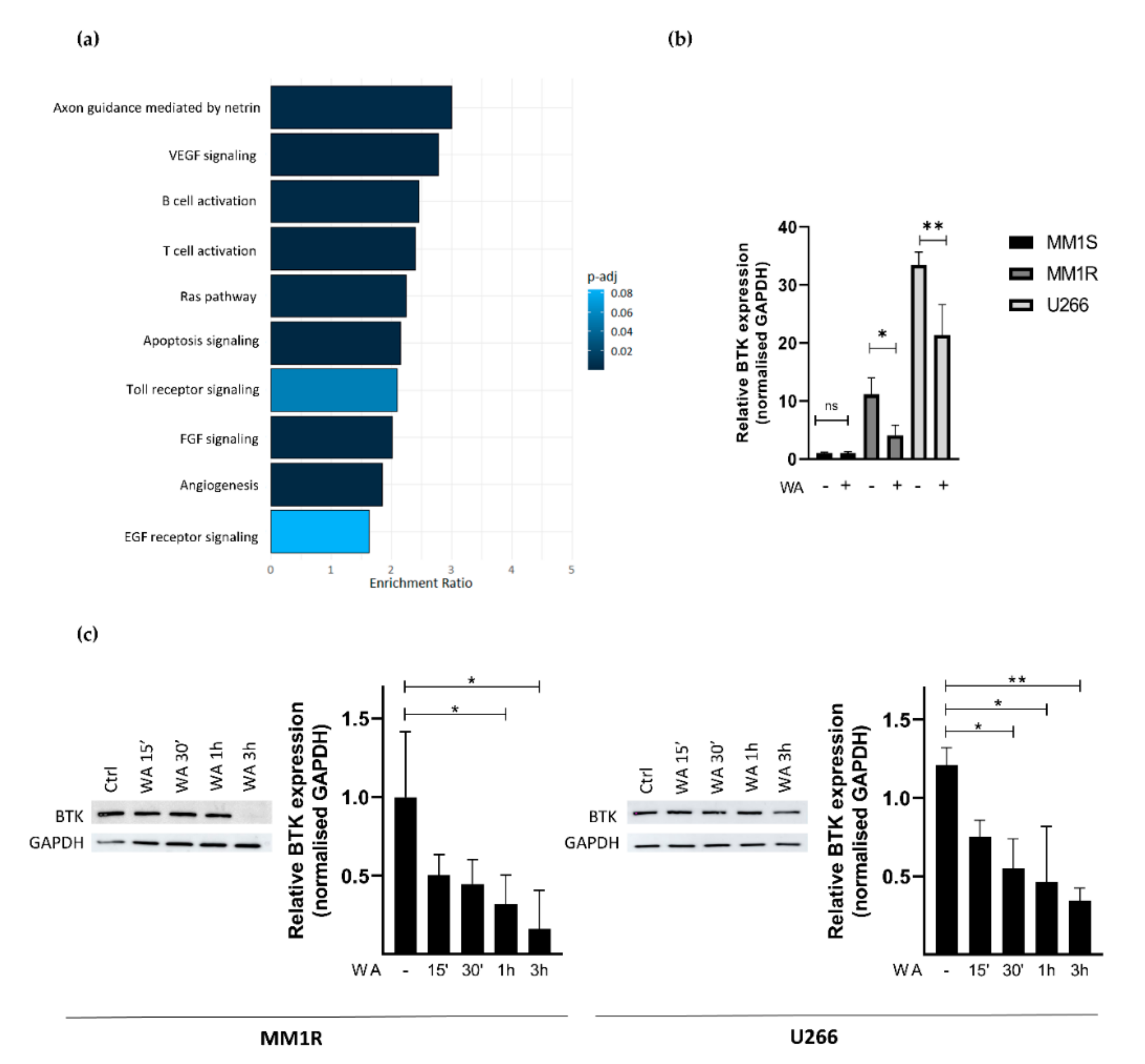 Cancers 13 01618 g003
