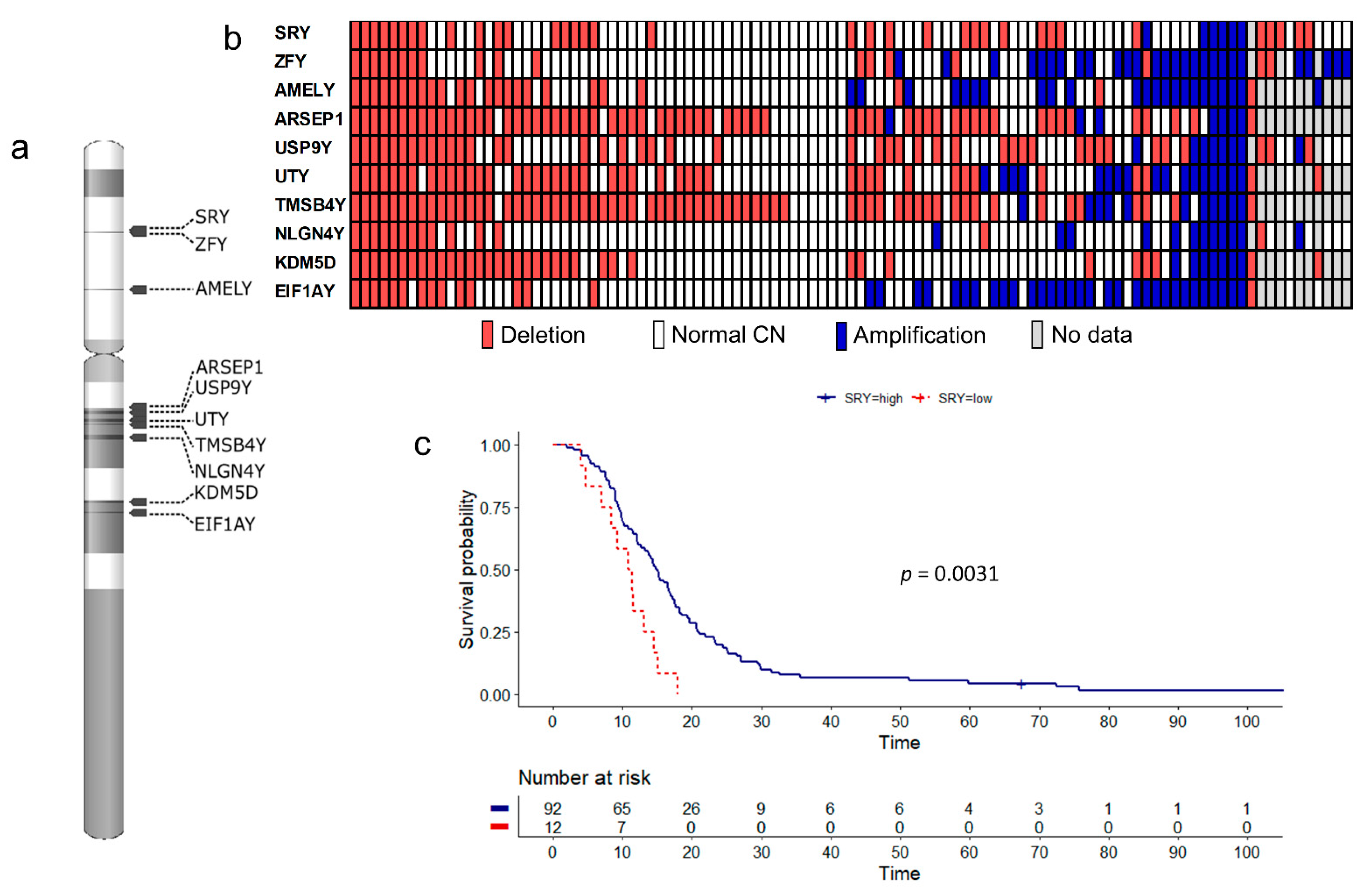 Cancers 13 01619 g001