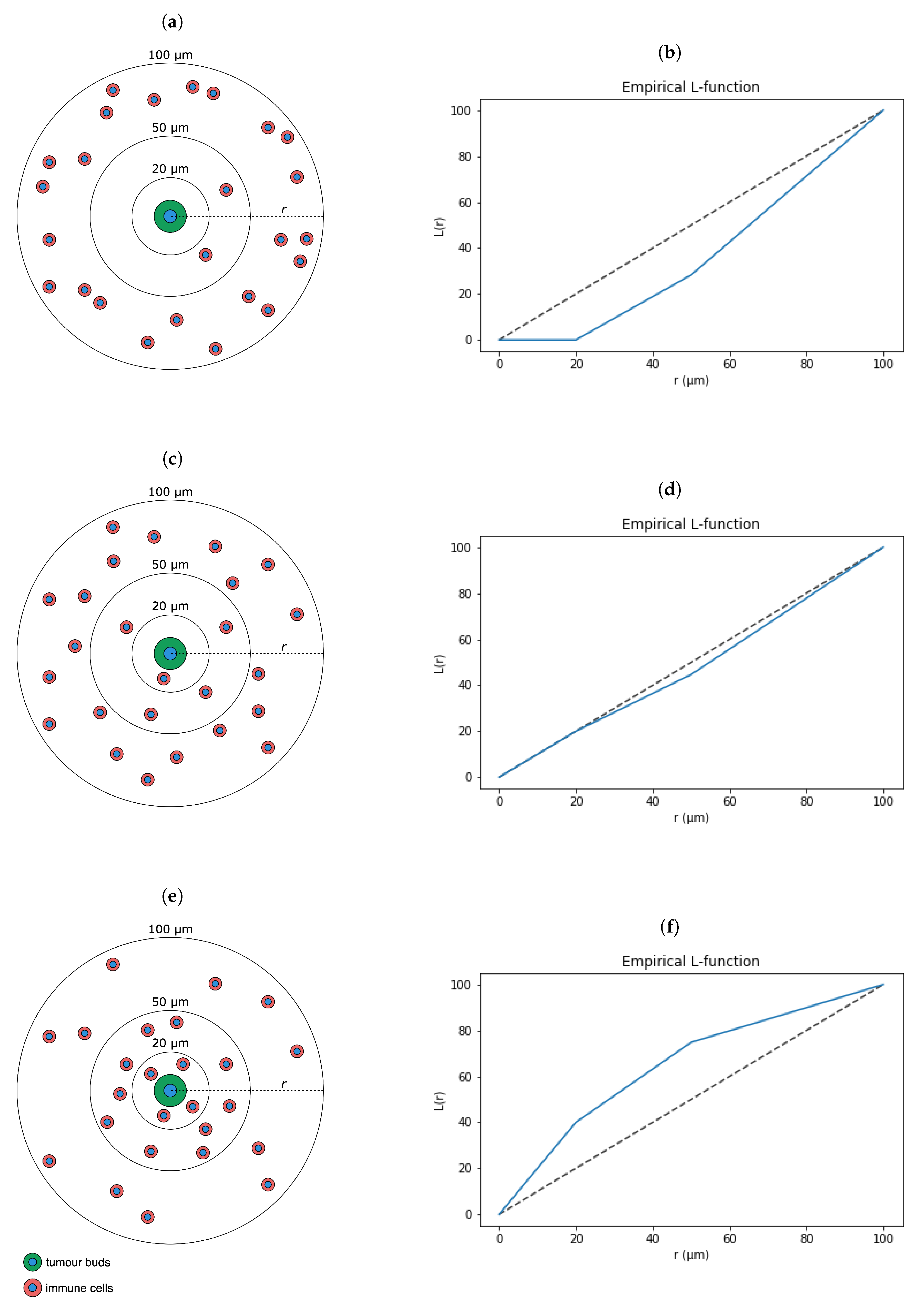 Cancers 13 01624 g003