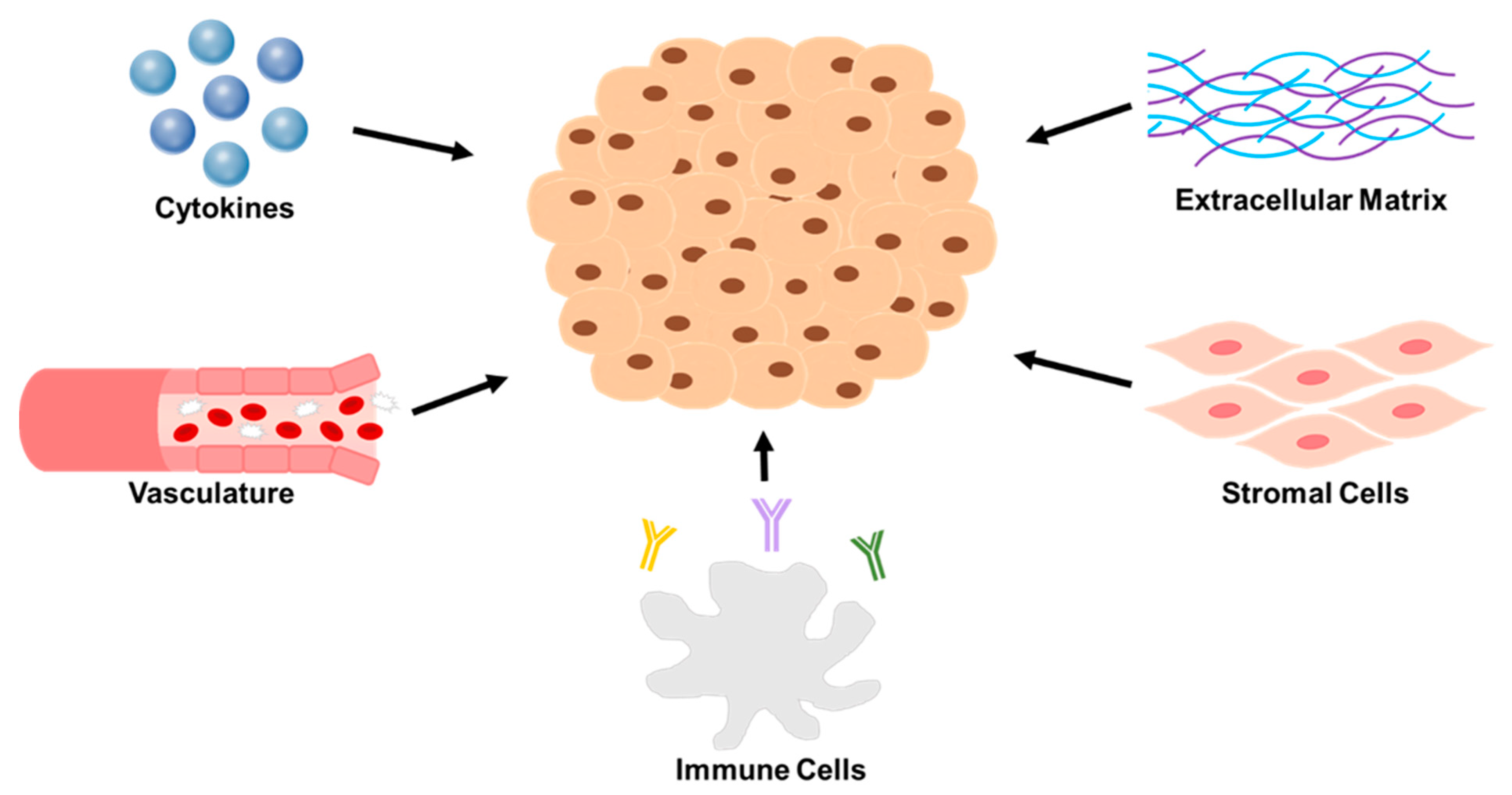 Cancers 13 01629 g001