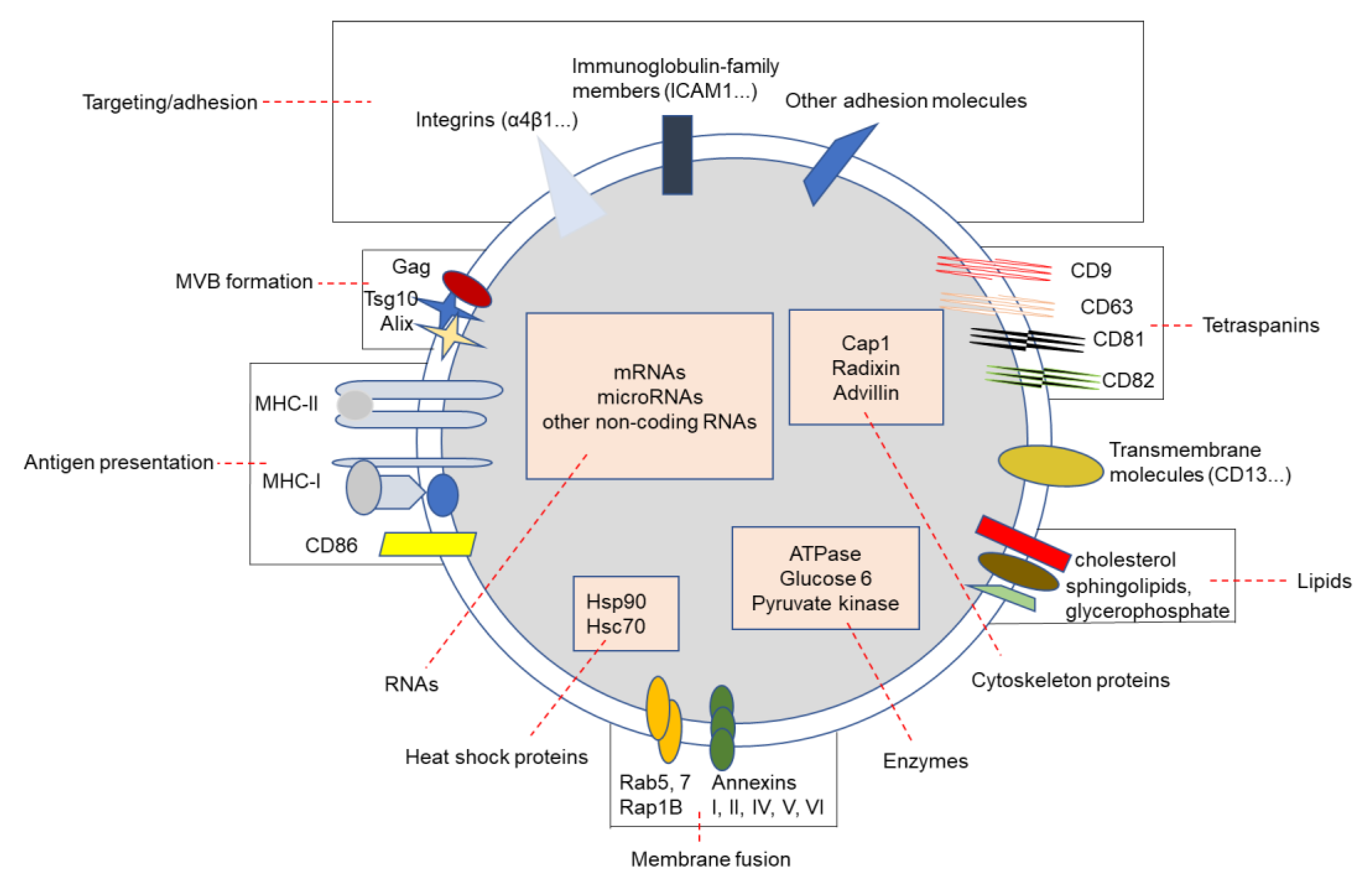 Cancers 13 01635 g002