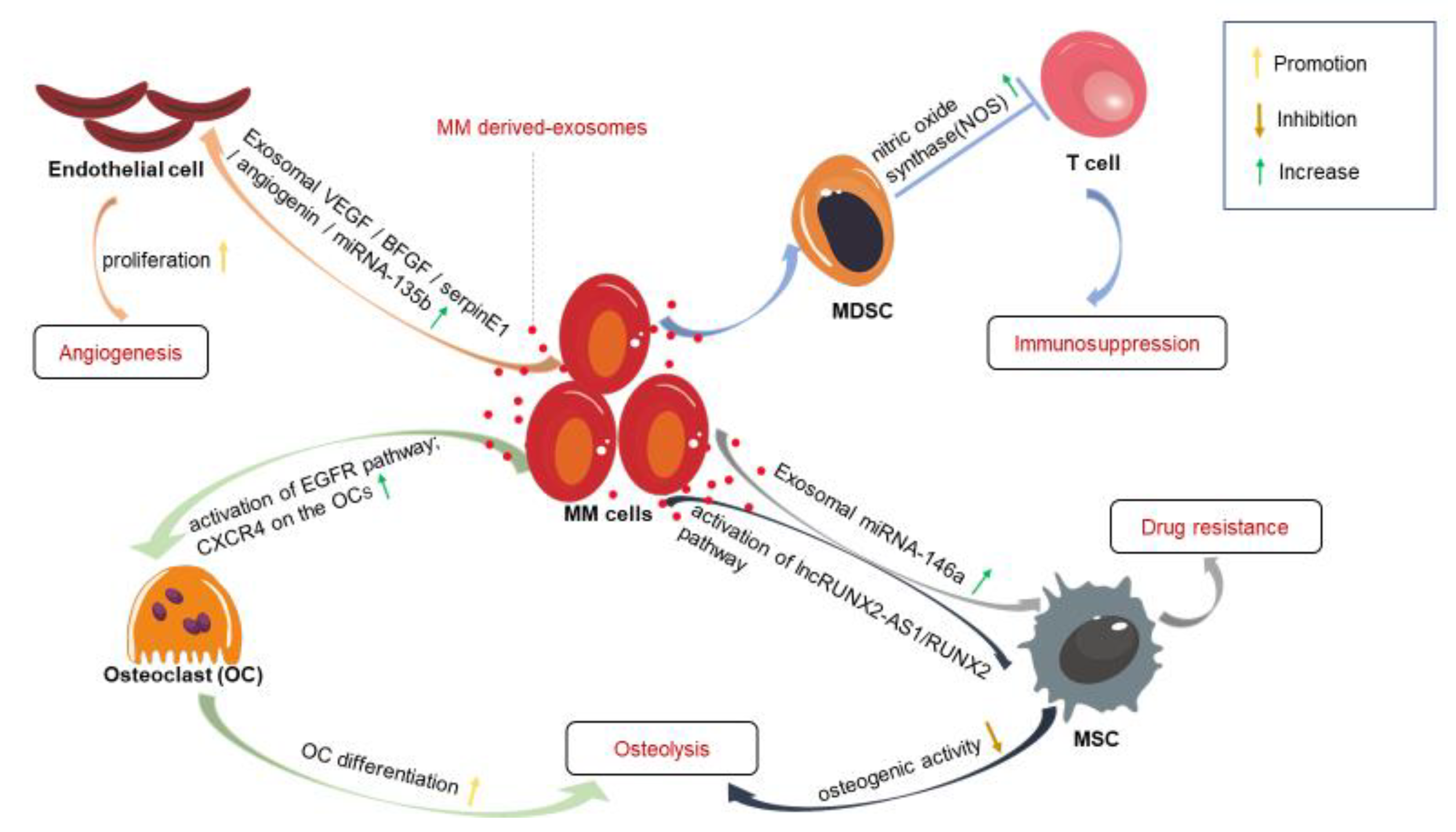 Cancers 13 01635 g003