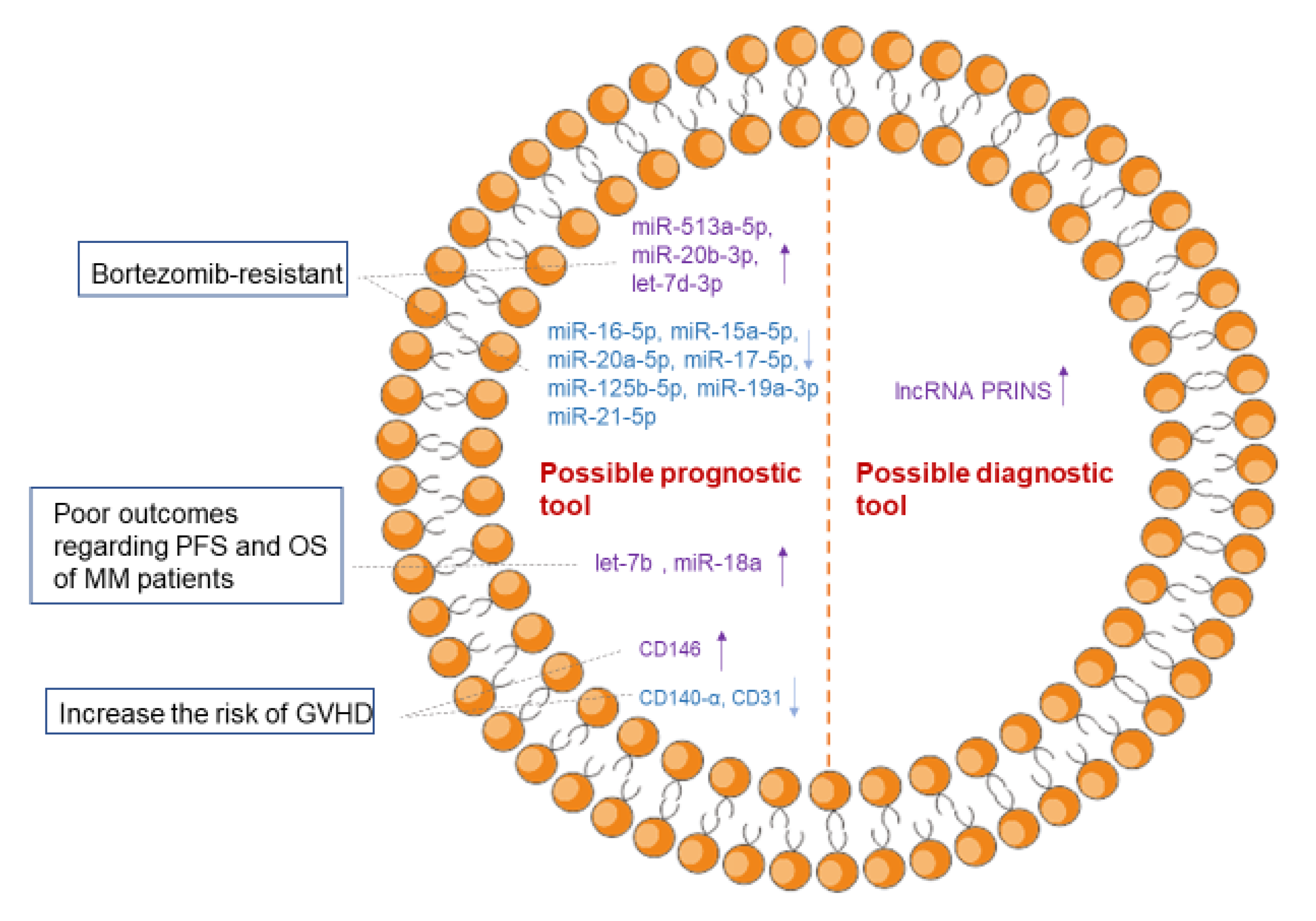 Cancers 13 01635 g004
