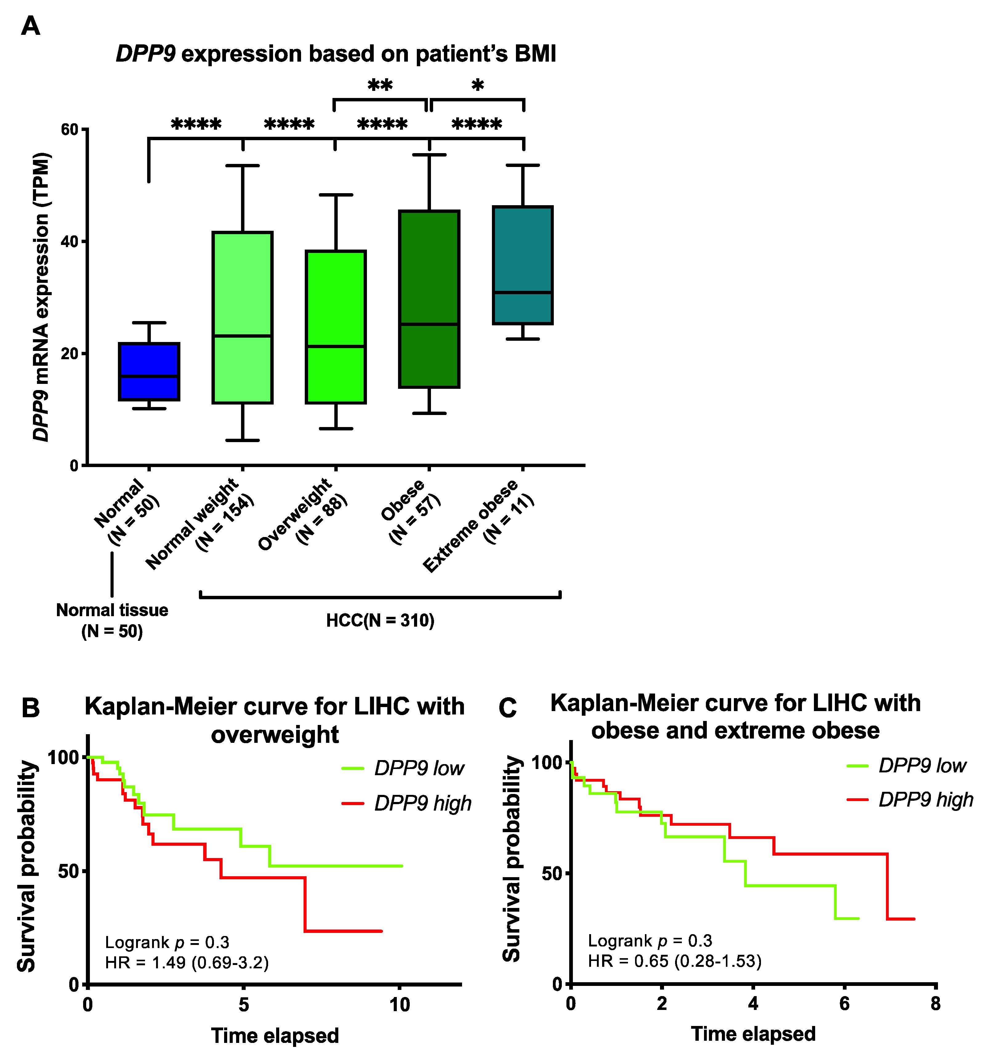 Cancers 13 01637 g003