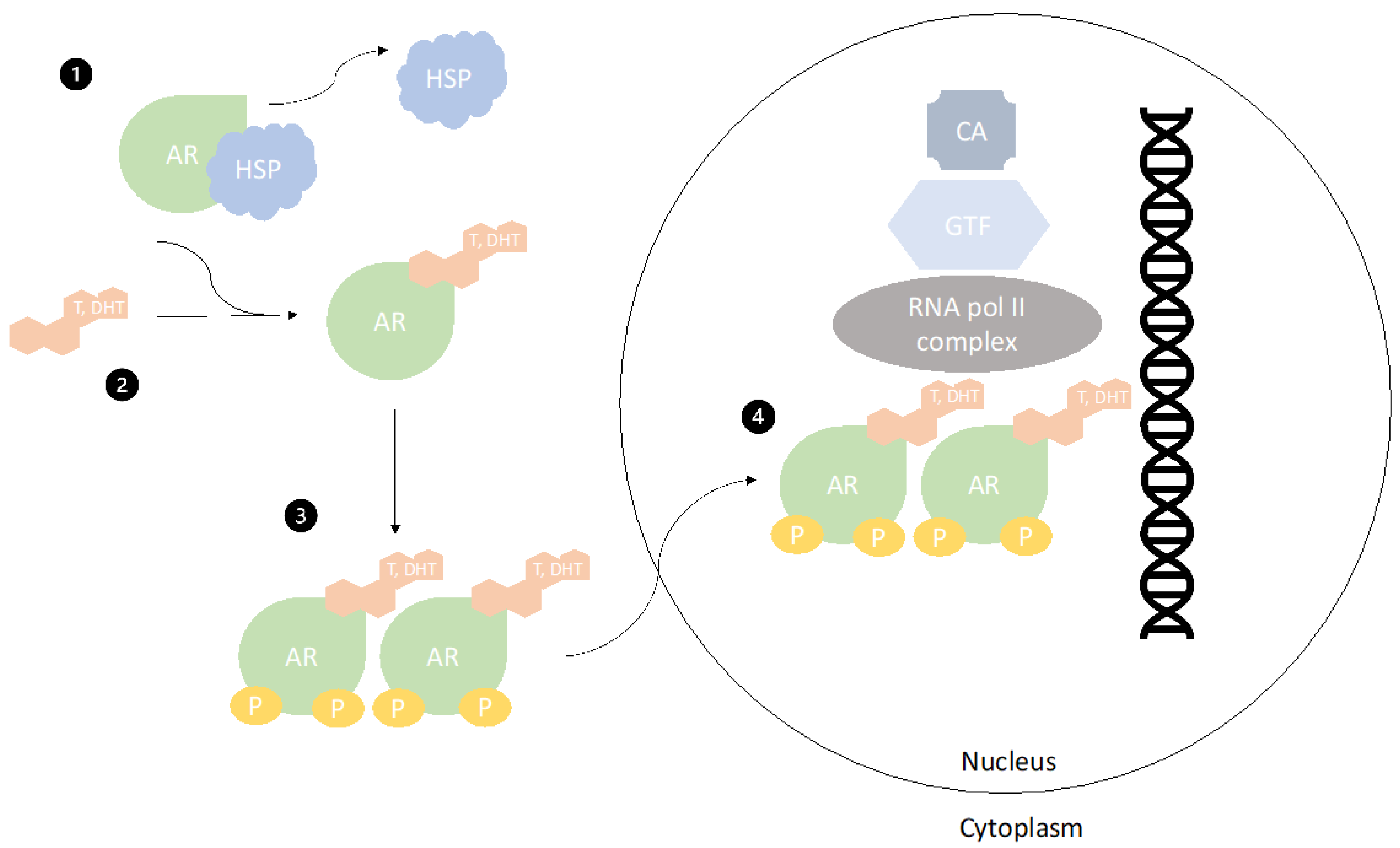 Cancers 13 01642 g001