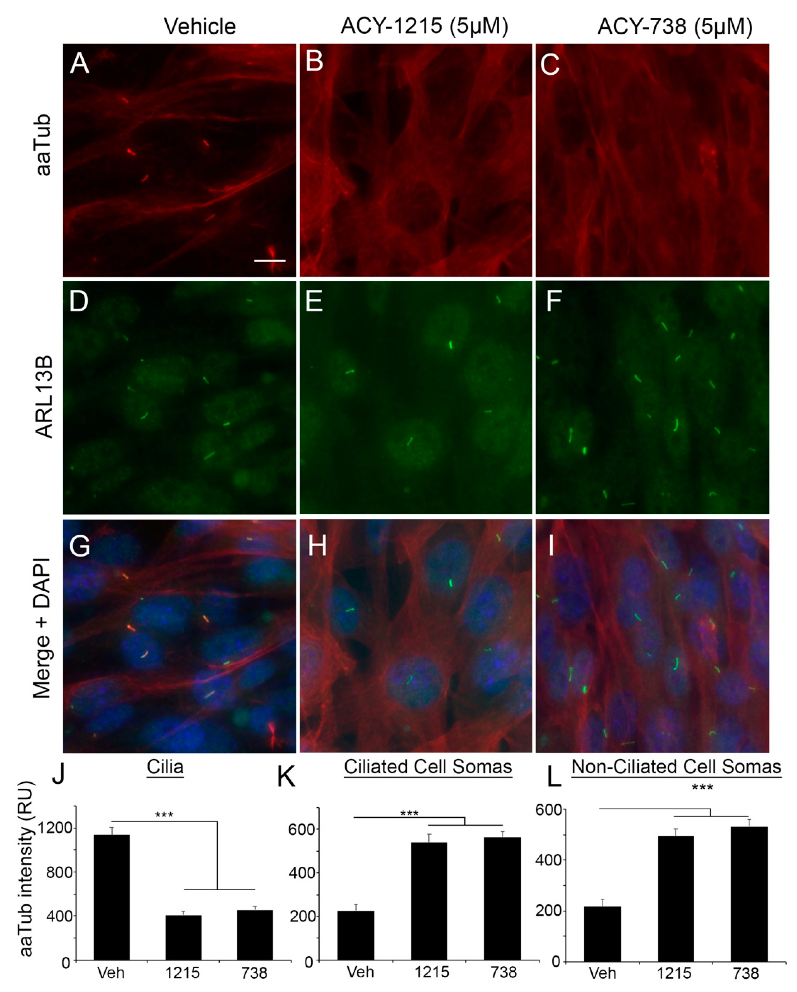 Cancers 13 01644 g002