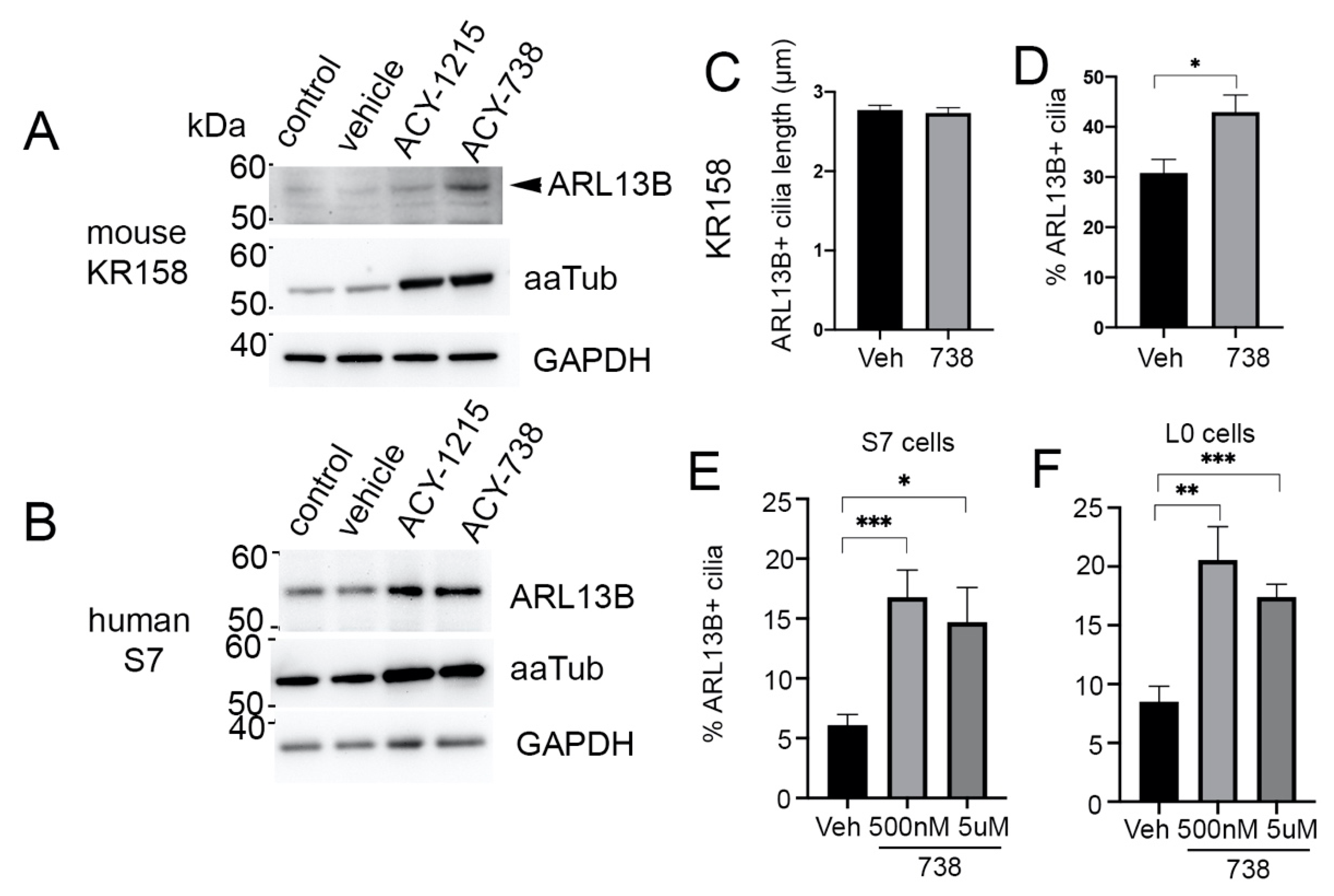 Cancers 13 01644 g003