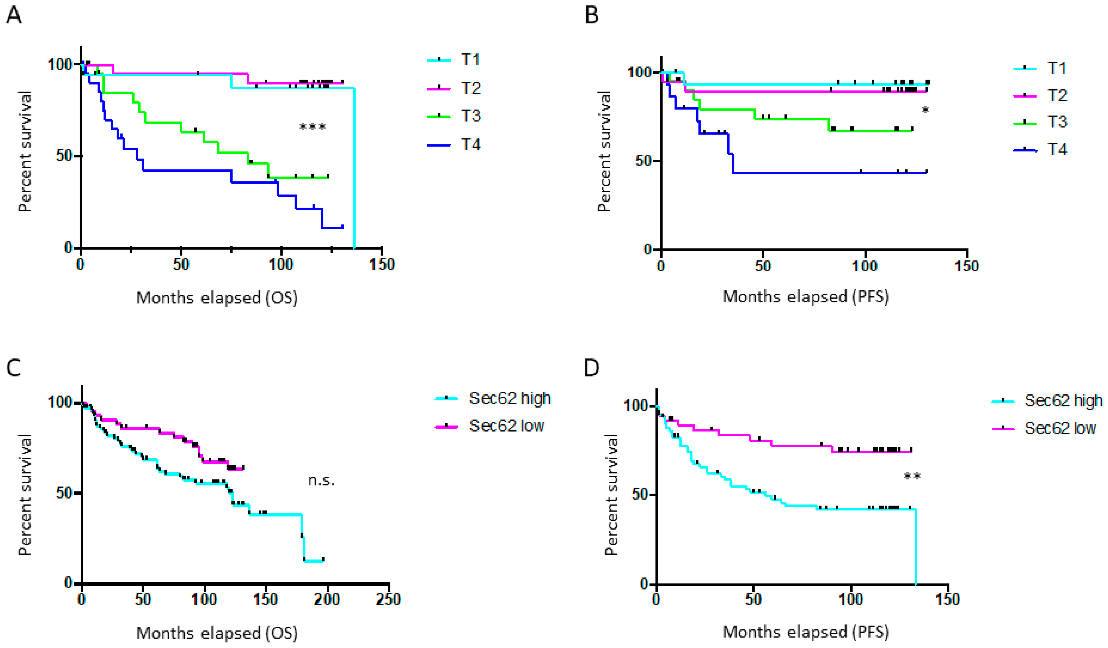 Cancers 13 01645 g001