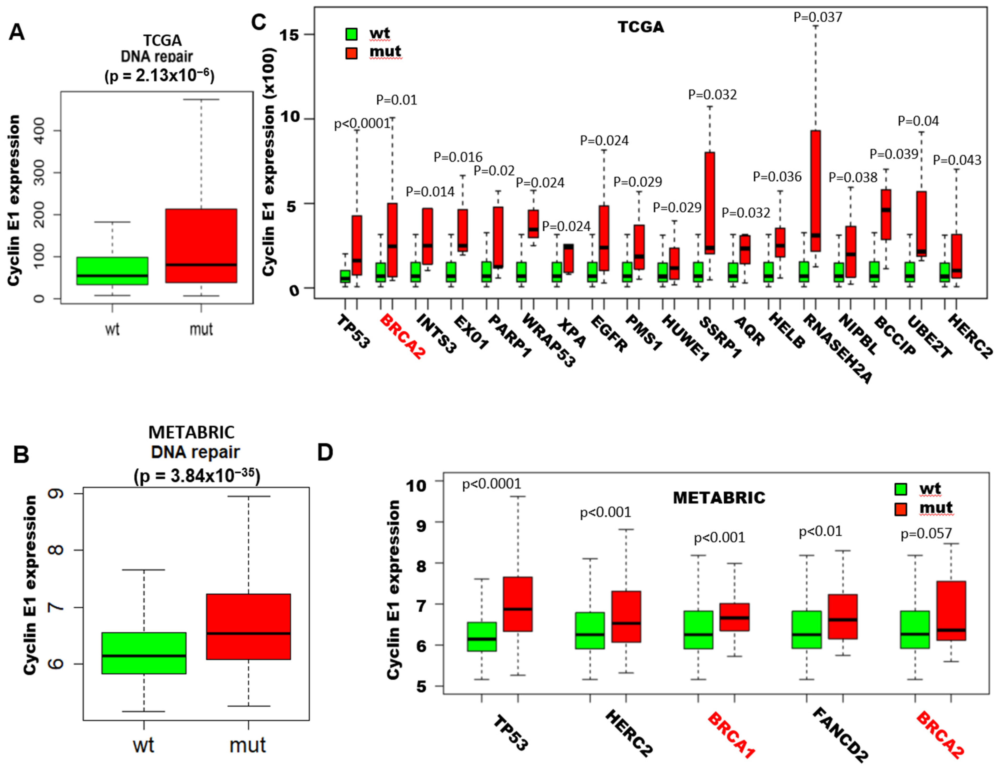 Cancers 13 01656 g001a