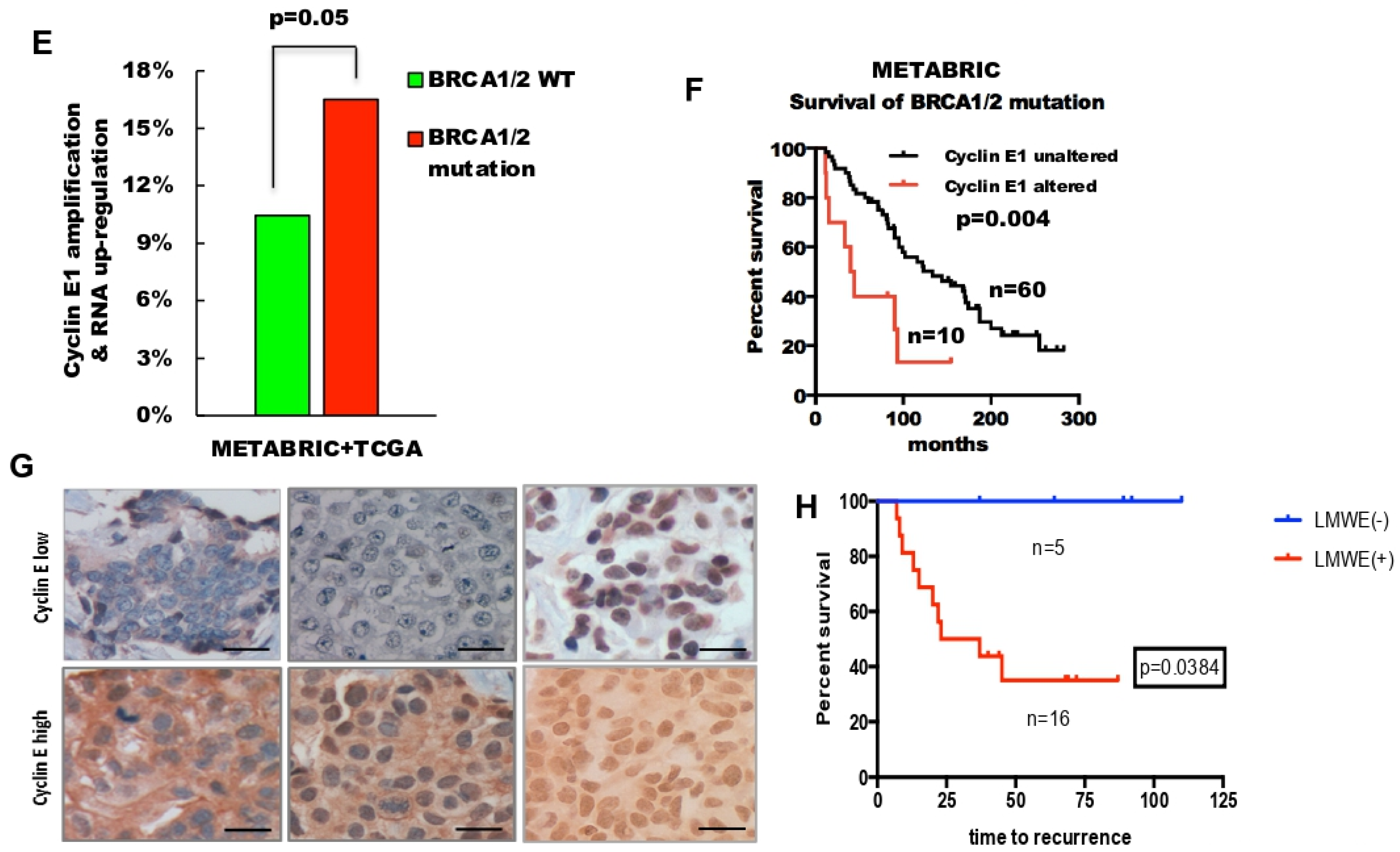 Cancers 13 01656 g001b
