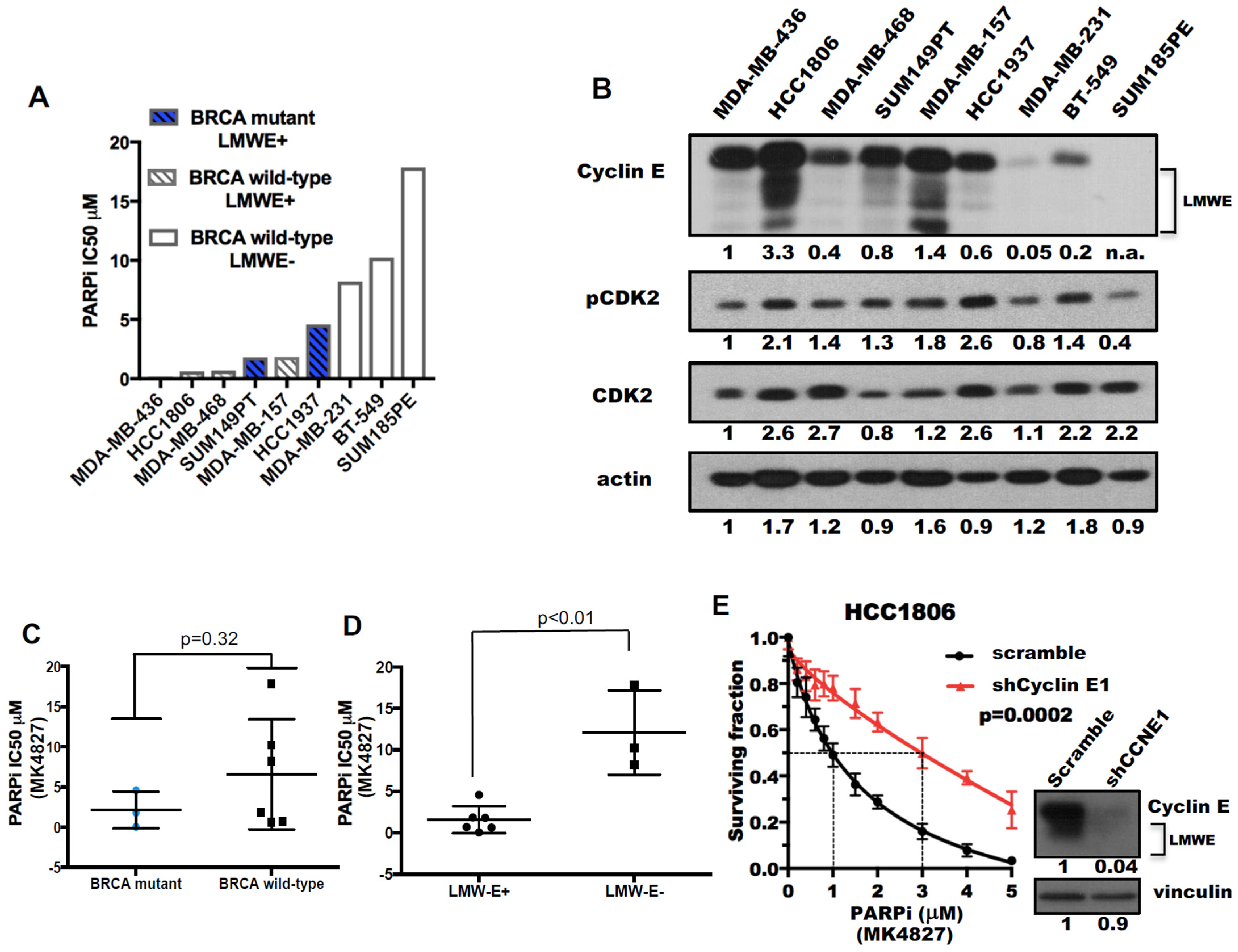 Cancers 13 01656 g002a