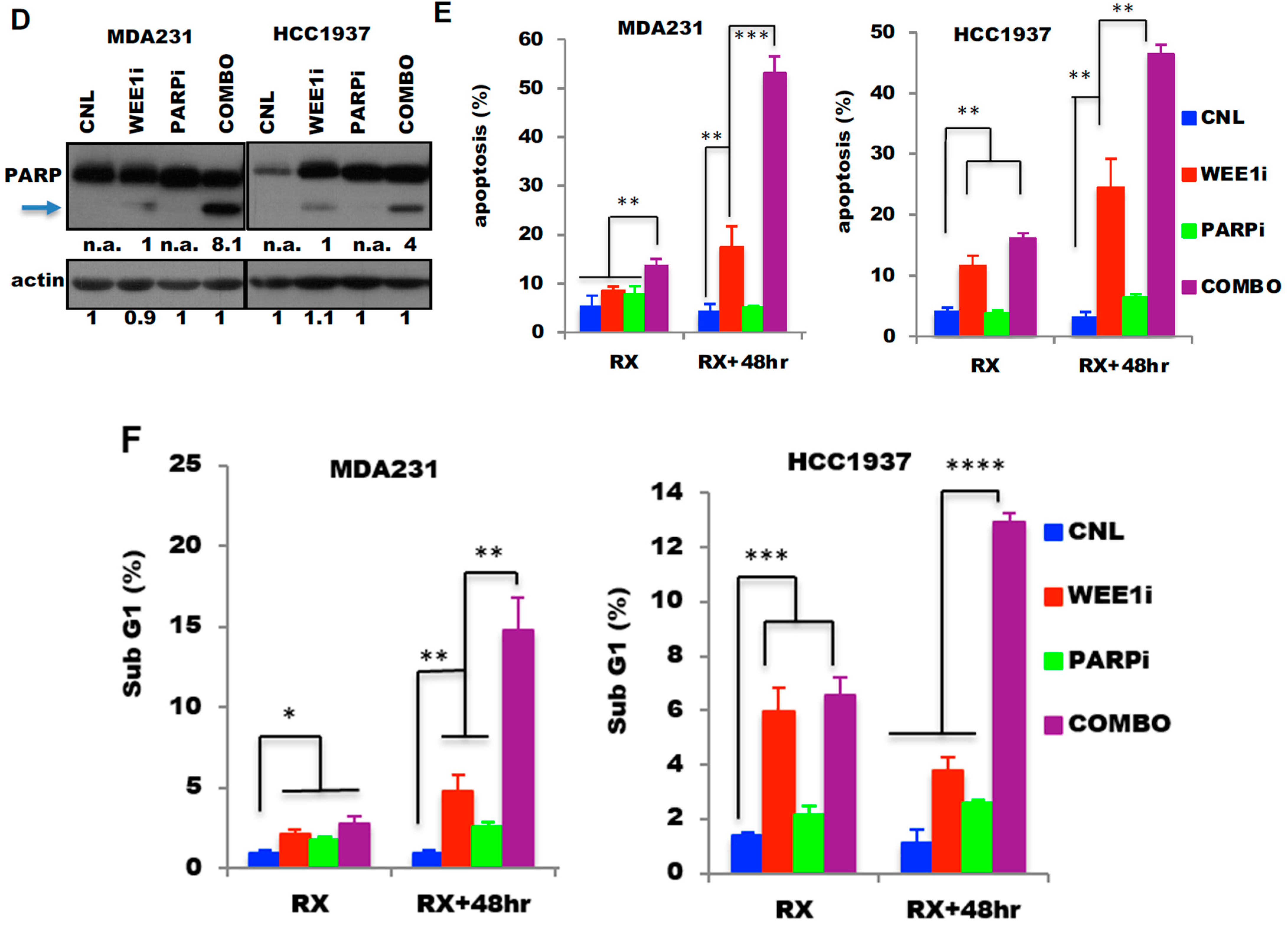 Cancers 13 01656 g003b