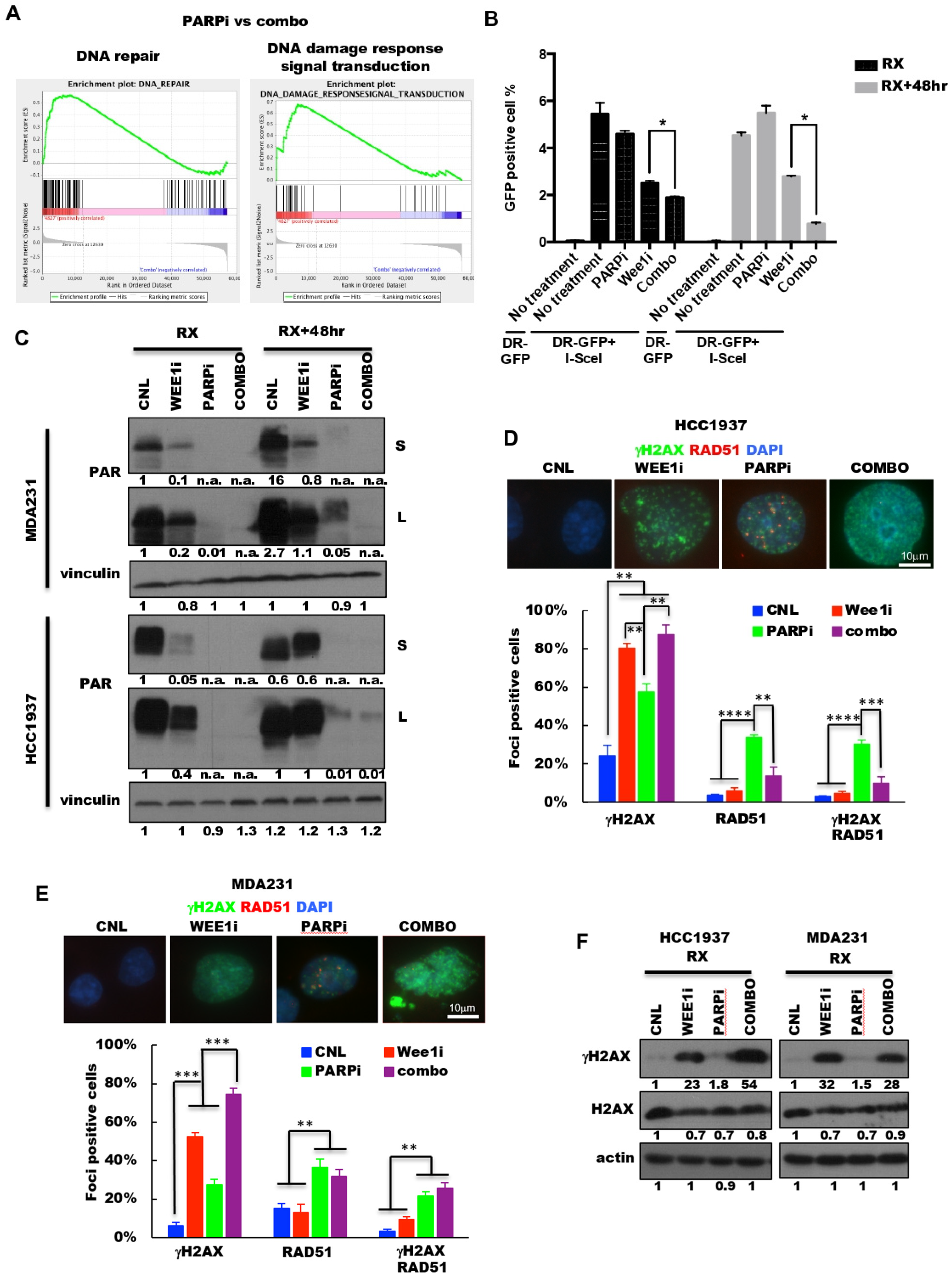 Cancers 13 01656 g005