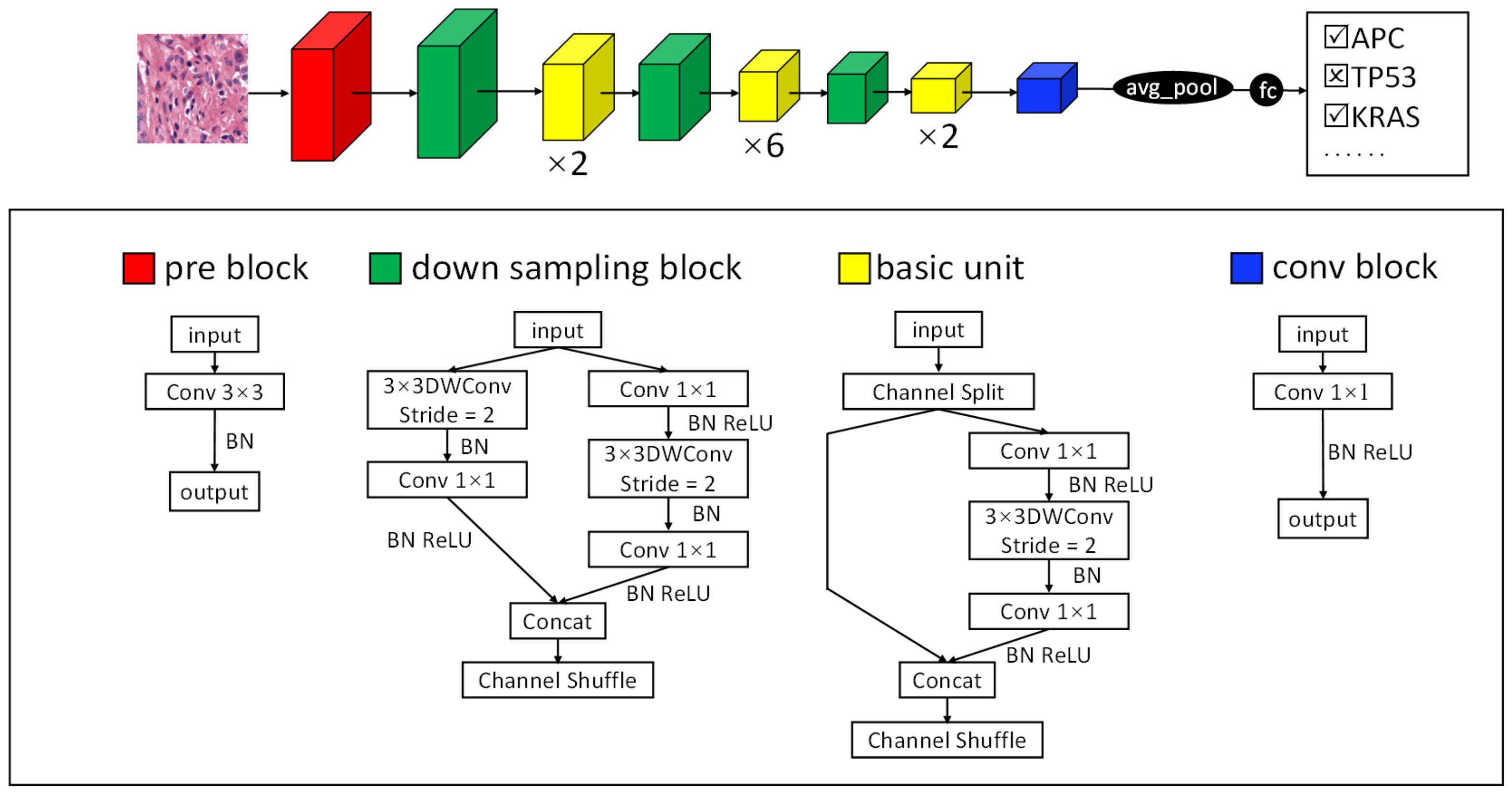 Cancers 13 01659 g004