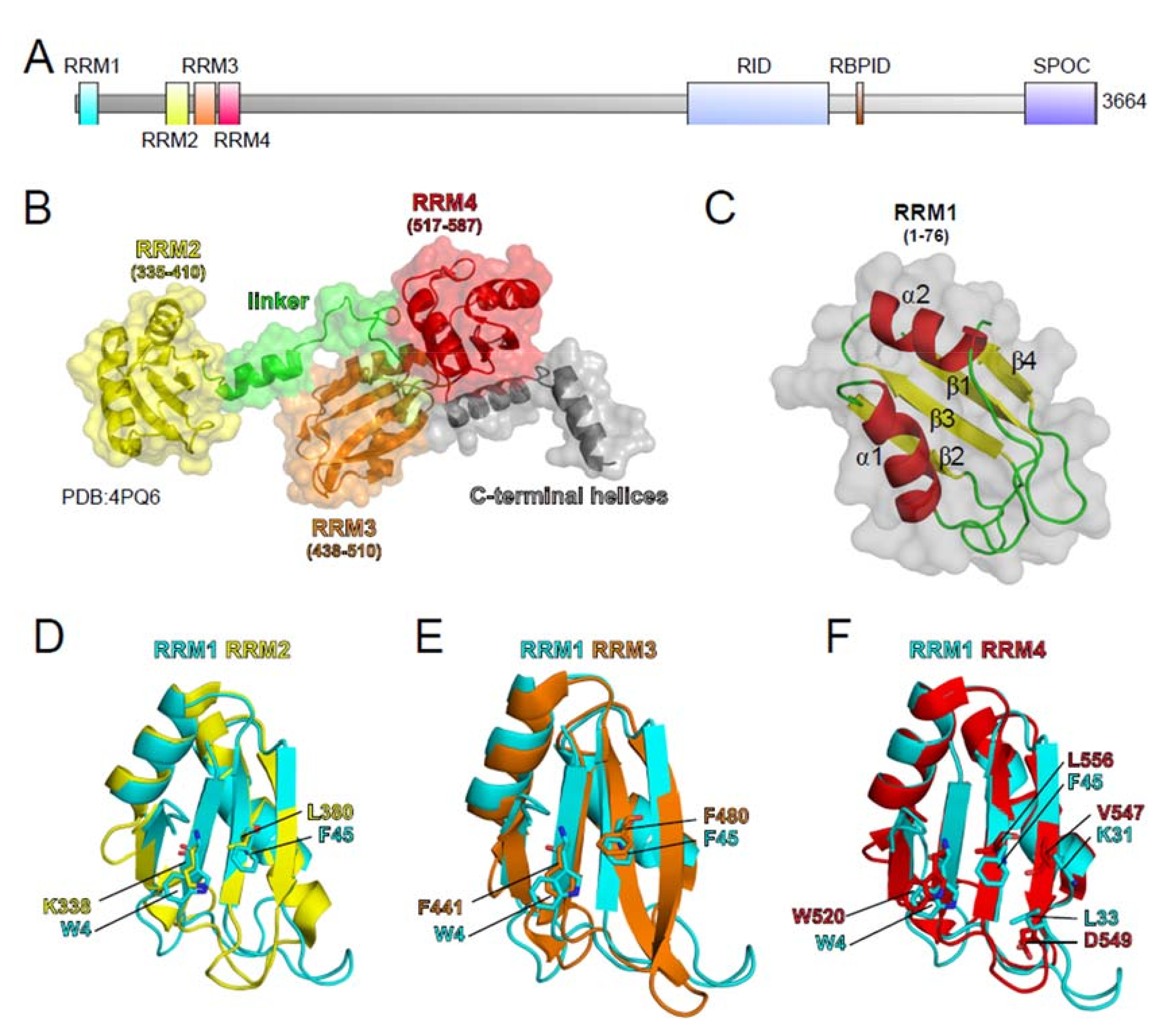 Cancers 13 01665 g003
