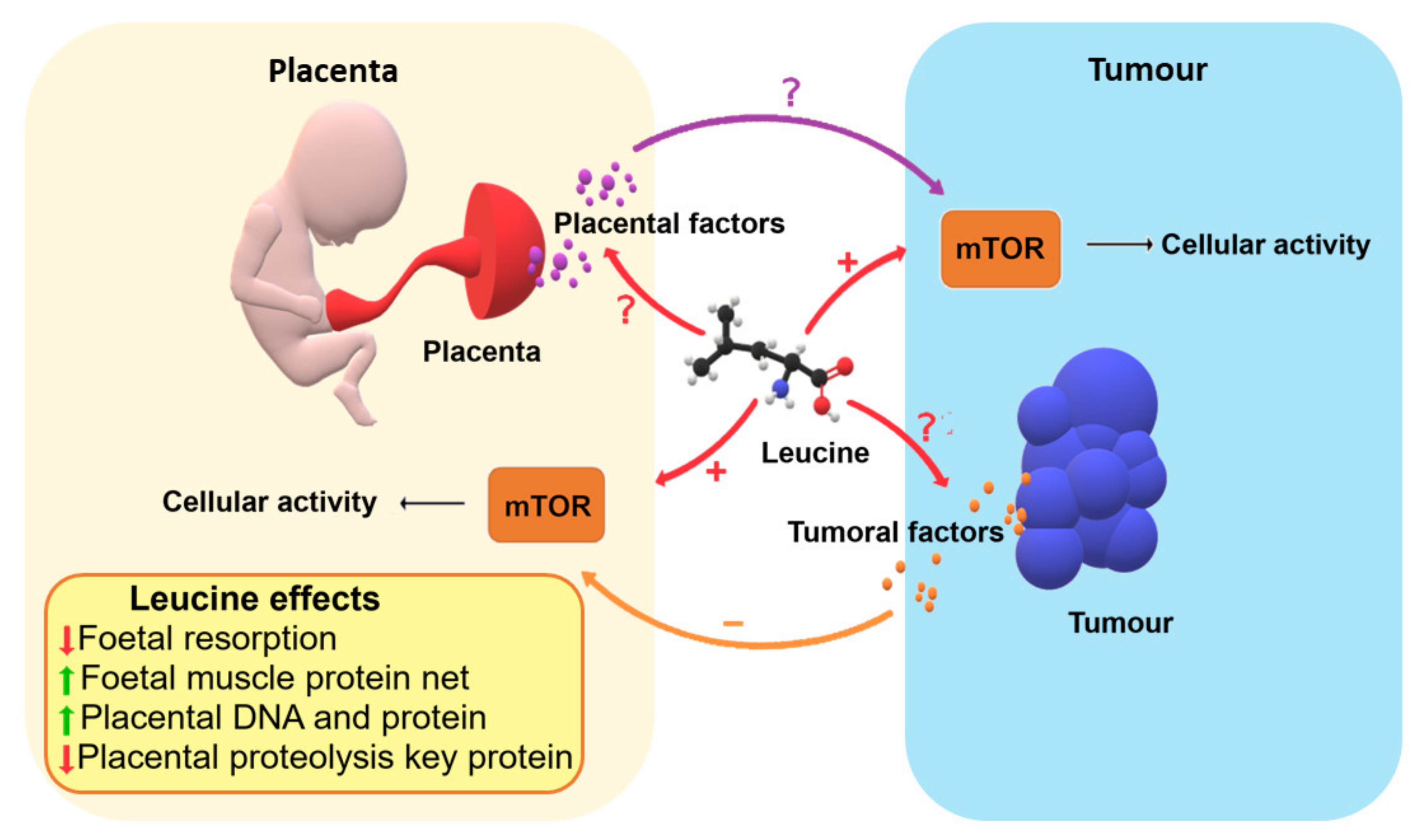 Cancers 13 01667 g001