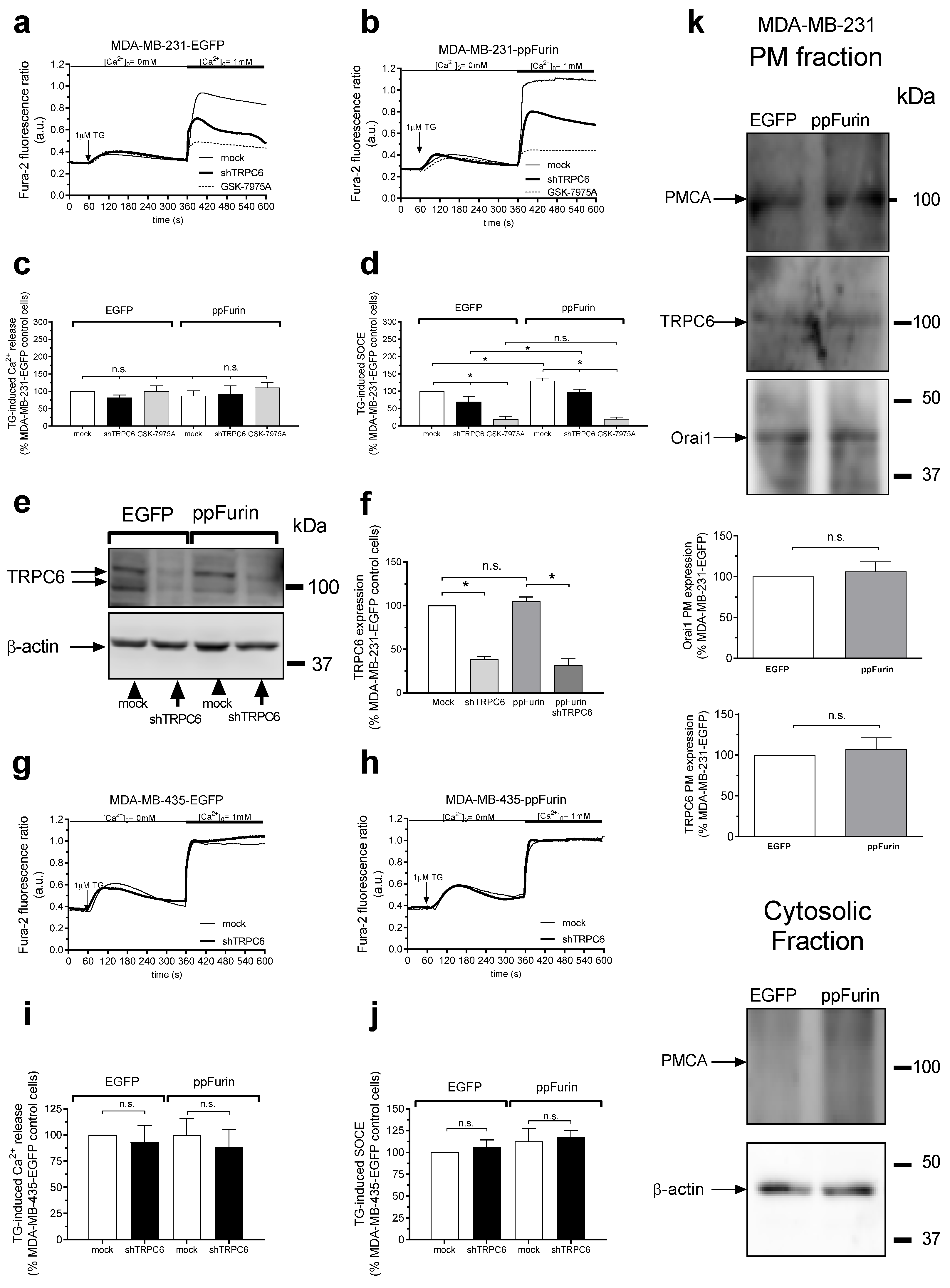 Cancers 13 01670 g005