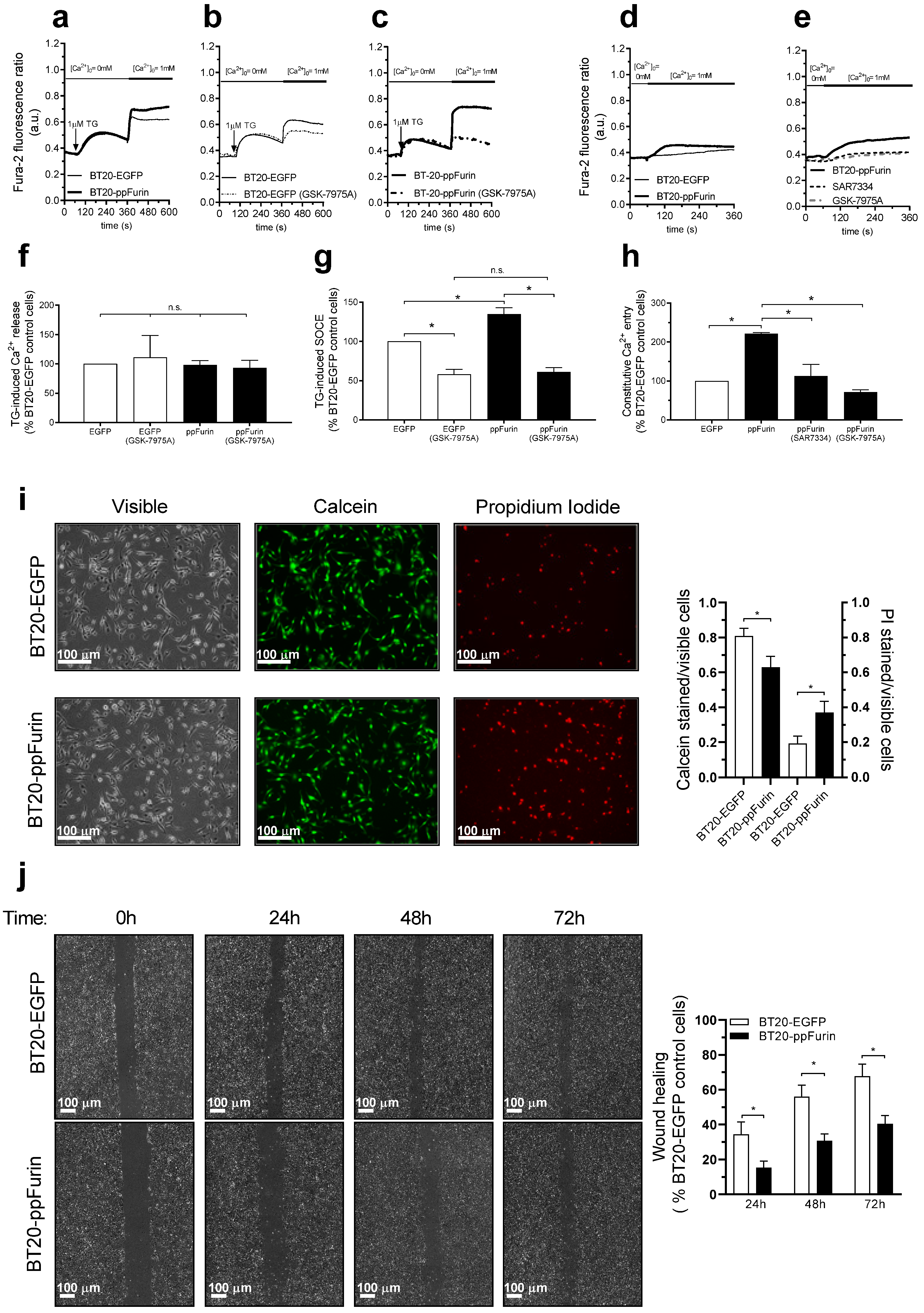 Cancers 13 01670 g008