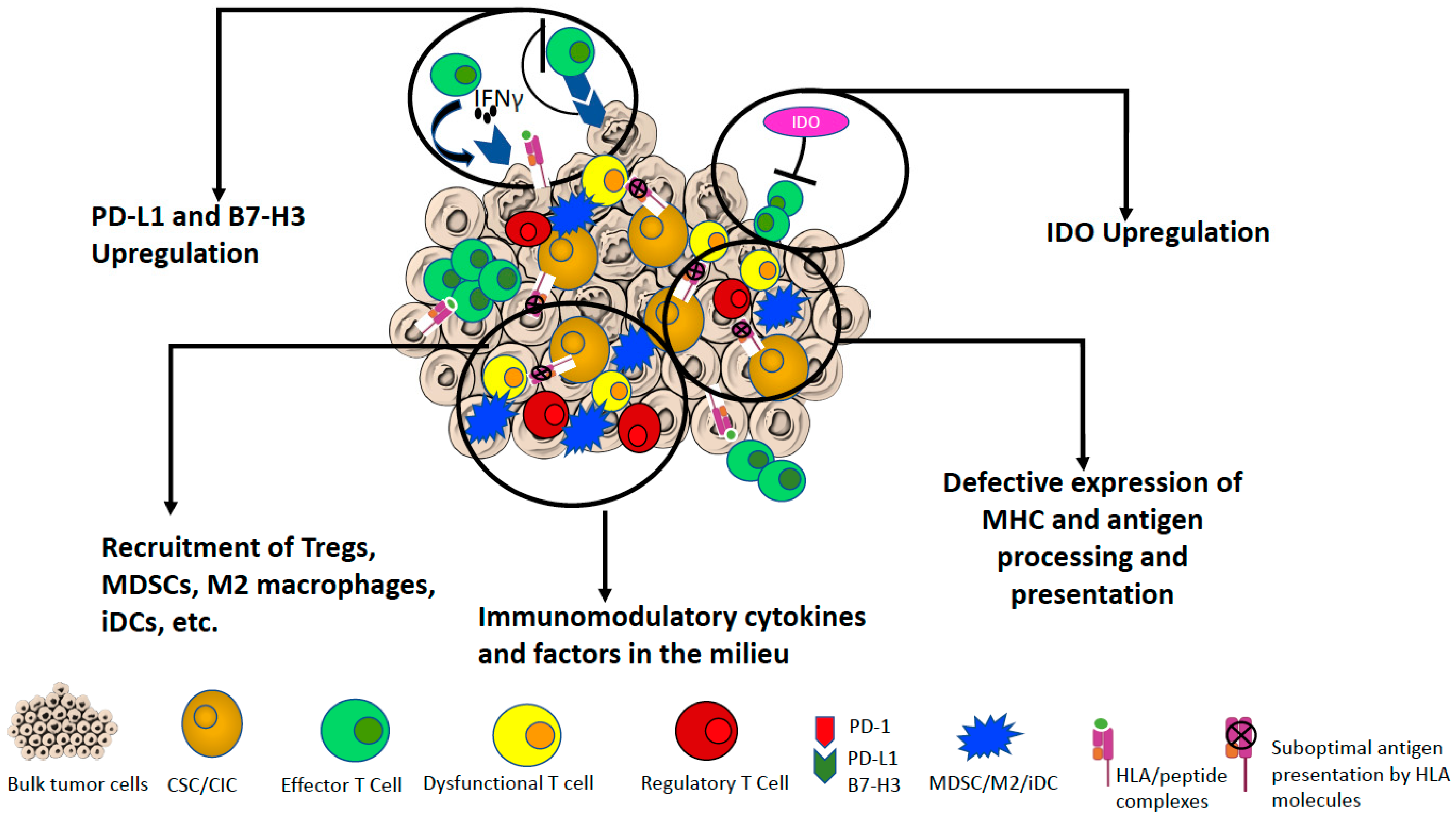 Cancers 13 01674 g001