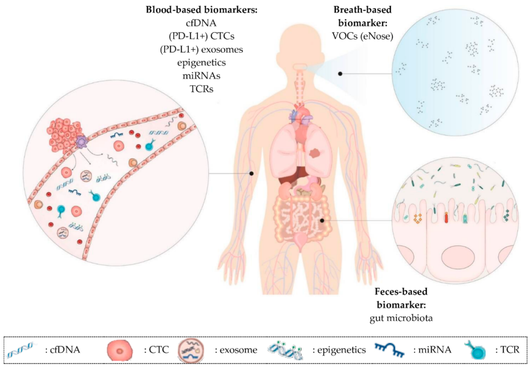 Cancers 13 01675 g001