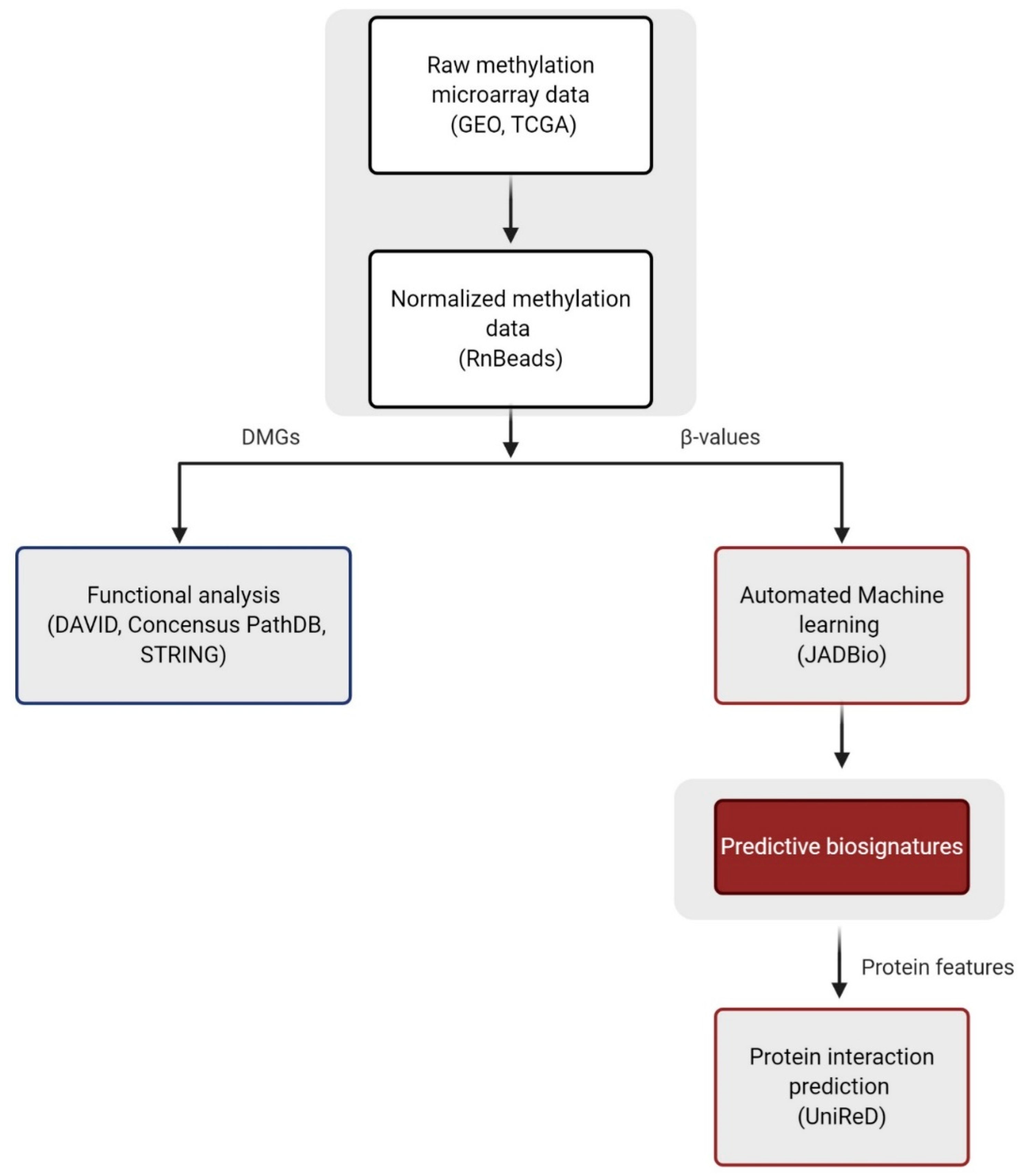 Cancers 13 01677 g001